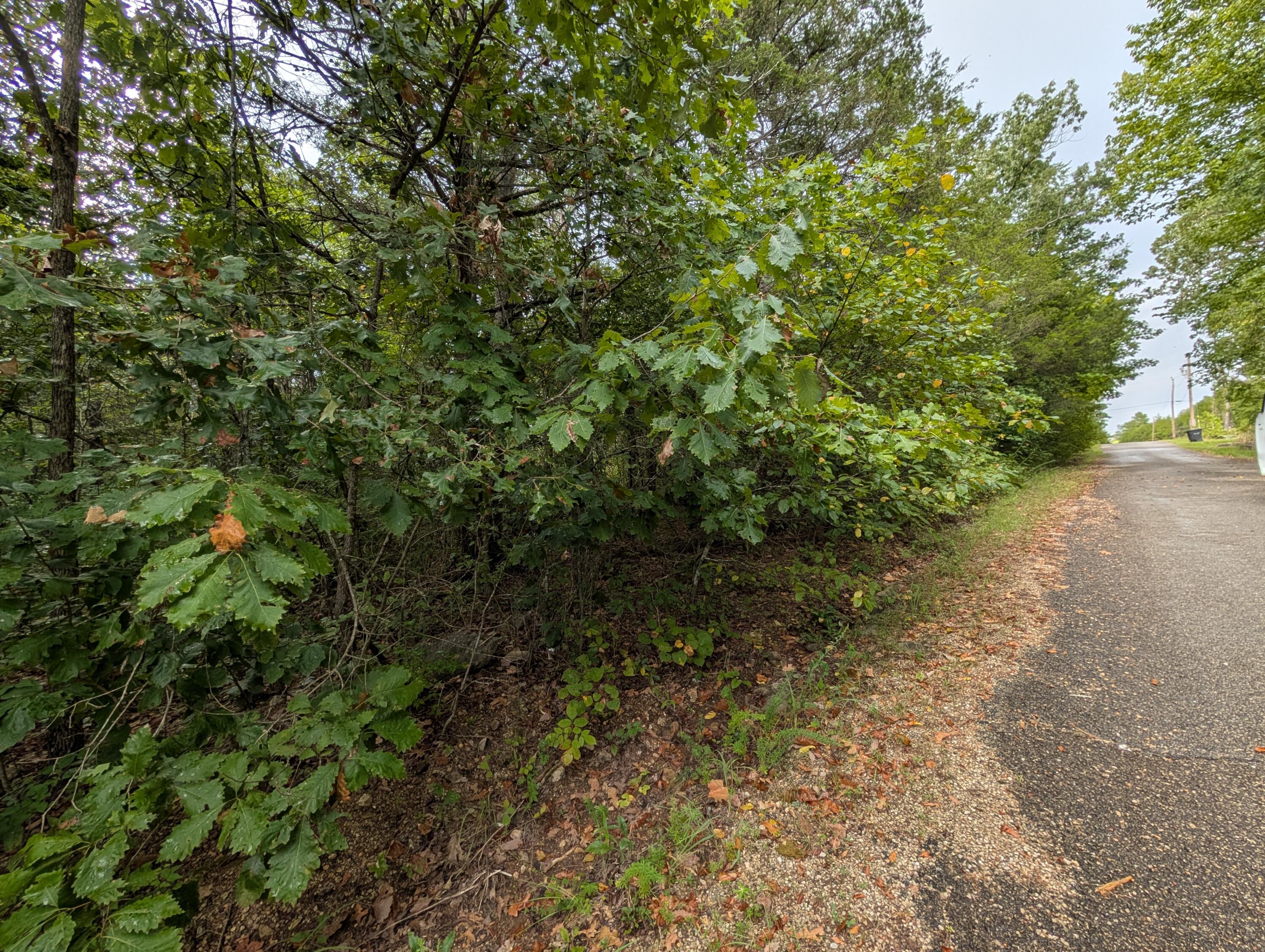 Land for sale – 000 N Lot 359 Millstone Street  Shell Knob, MO