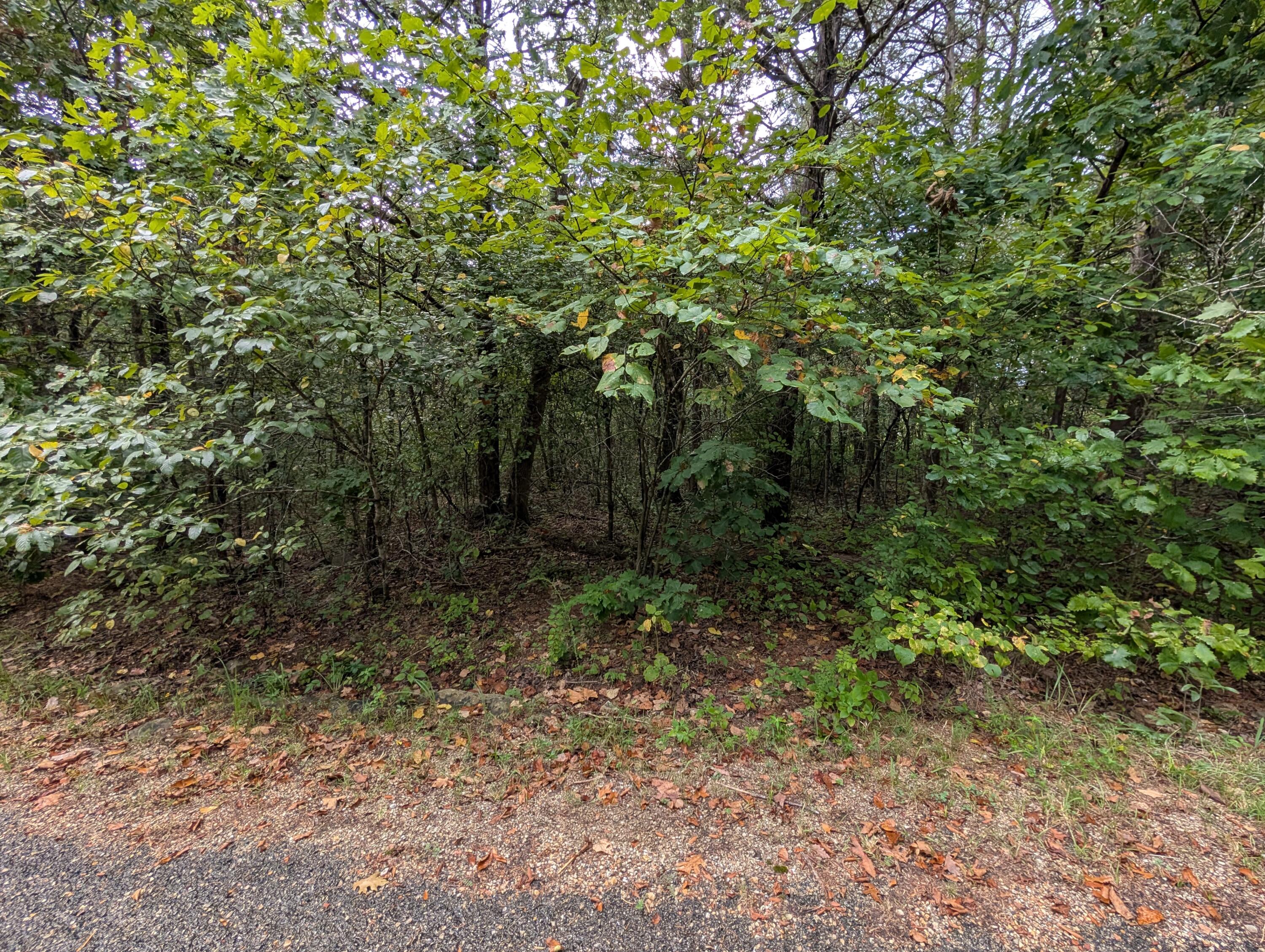 Photo 4 - Land for sale – 000 N Lot 359 Millstone Street  Shell Knob, MO