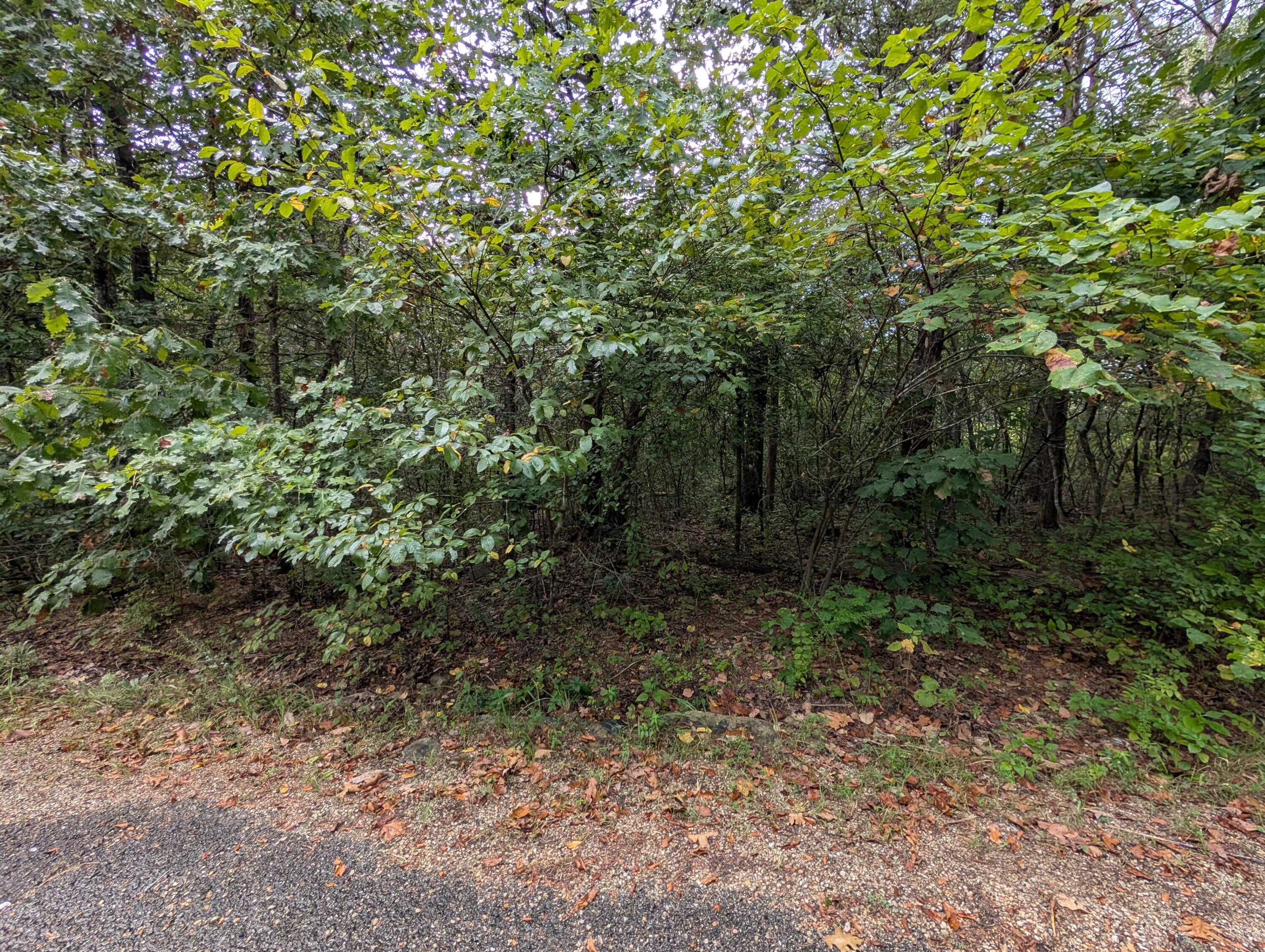 Photo 5 - Land for sale – 000 N Lot 359 Millstone Street  Shell Knob, MO