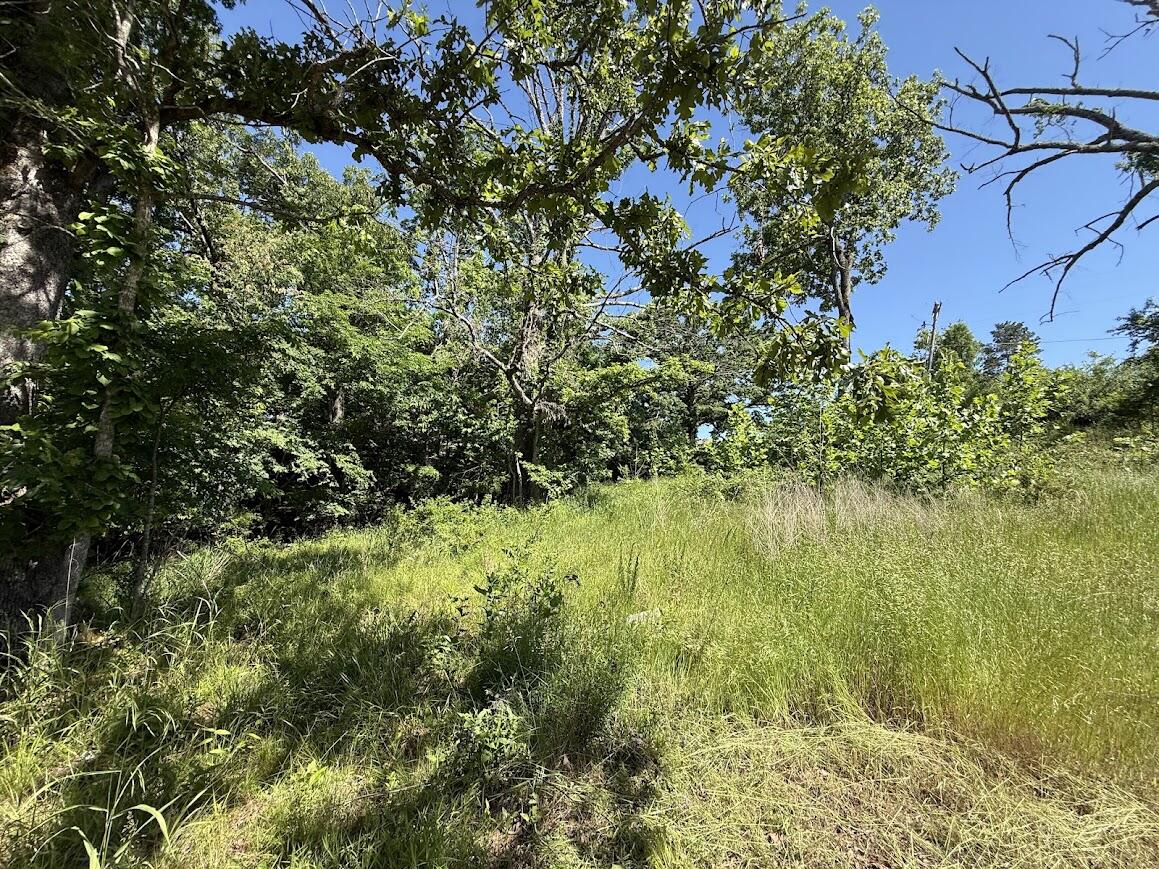 Photo 16 - Land for sale – 535  Skyline Drive  Forsyth, MO