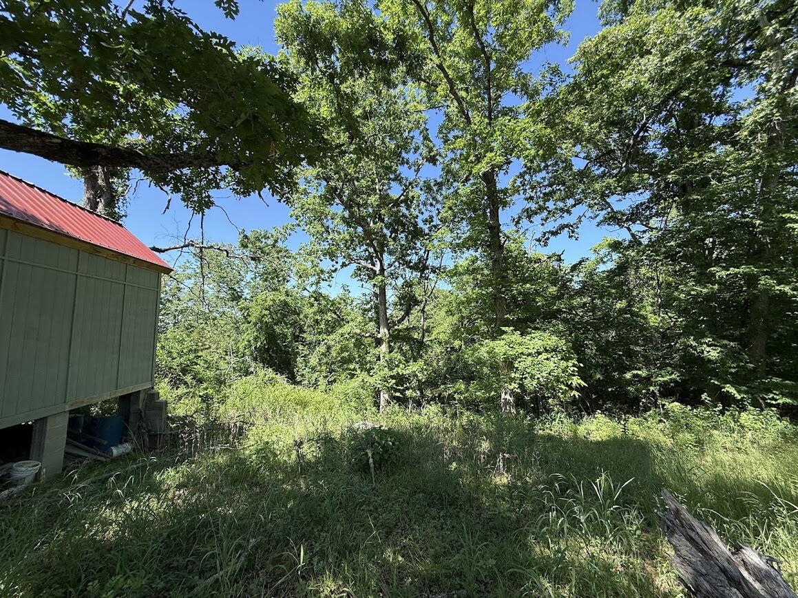 Photo 14 - Land for sale – 535  Skyline Drive  Forsyth, MO