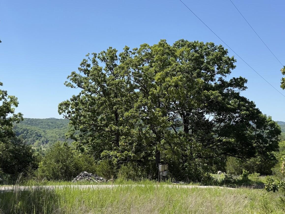 Photo 11 - Land for sale – 535  Skyline Drive  Forsyth, MO
