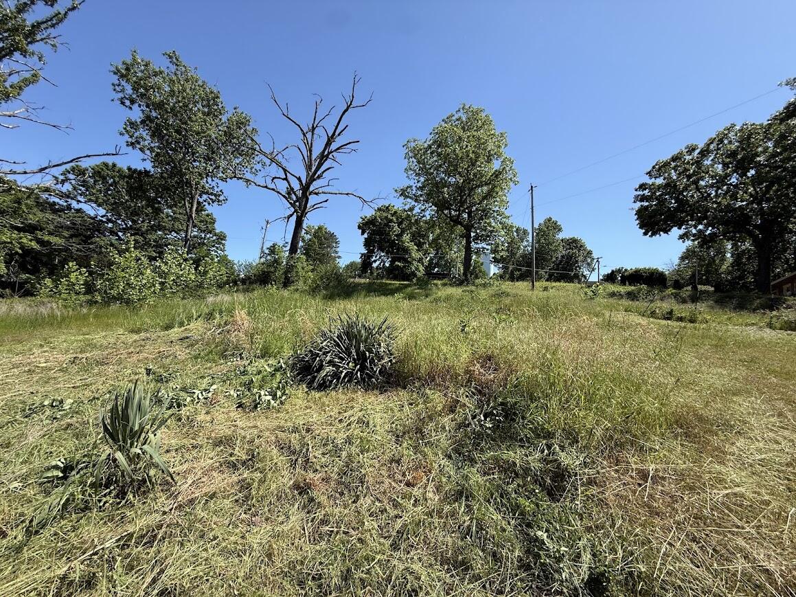 Photo 13 - Land for sale – 535  Skyline Drive  Forsyth, MO