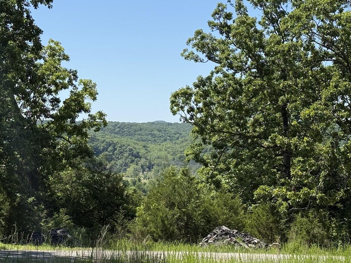 Land for sale – 535  Skyline Drive  Forsyth, MO