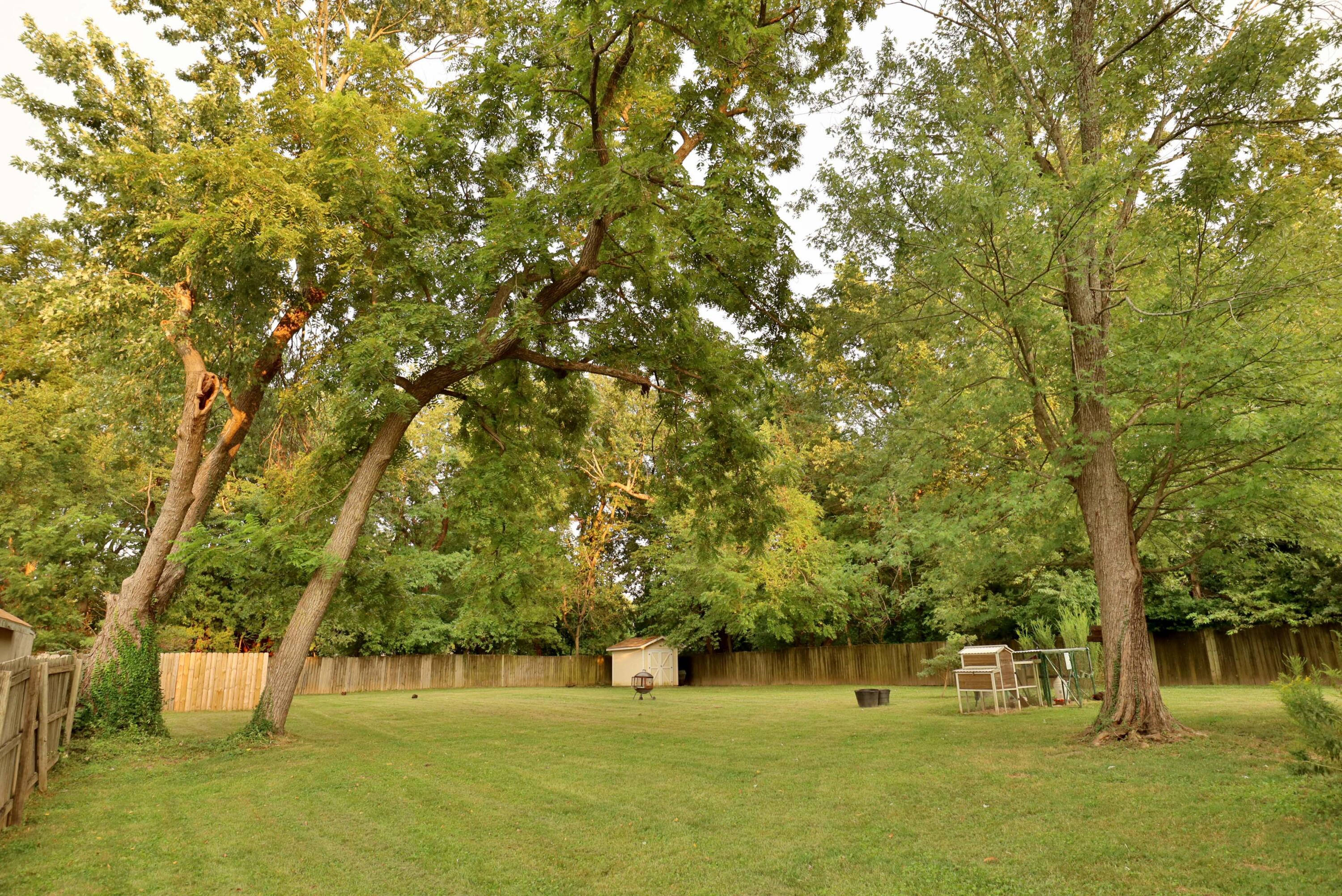 Photo 49 - Residential for sale – 648 S Peach Tree Avenue  Springfield, MO