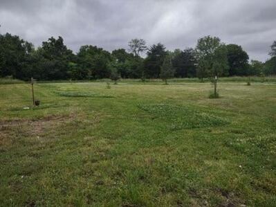 Photo 5 - Land for sale – 10+/- Ac. W State Highway 90   Southwest City, MO