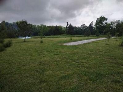 Photo 6 - Land for sale – 10+/- Ac. W State Highway 90   Southwest City, MO
