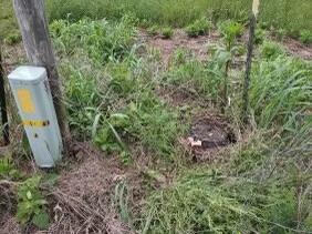 Photo 15 - Land for sale – 10+/- Ac. W State Highway 90   Southwest City, MO