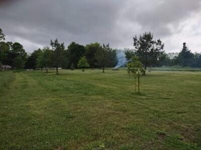 Photo 11 - Land for sale – 10+/- Ac. W State Highway 90   Southwest City, MO