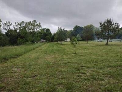 Photo 9 - Land for sale – 10+/- Ac. W State Highway 90   Southwest City, MO