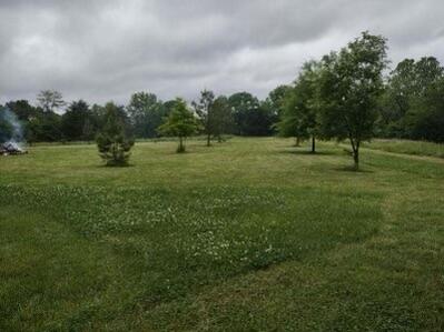 Land for sale – 10+/- Ac. W State Highway 90   Southwest City, MO
