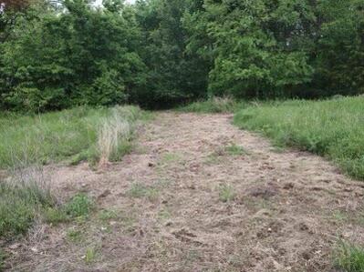 Photo 12 - Land for sale – 10+/- Ac. W State Highway 90   Southwest City, MO