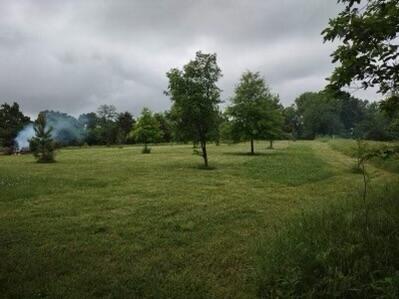 Photo 14 - Land for sale – 10+/- Ac. W State Highway 90   Southwest City, MO