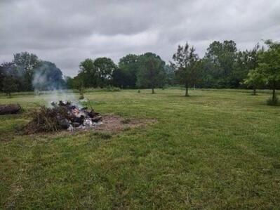 Photo 3 - Land for sale – 10+/- Ac. W State Highway 90   Southwest City, MO