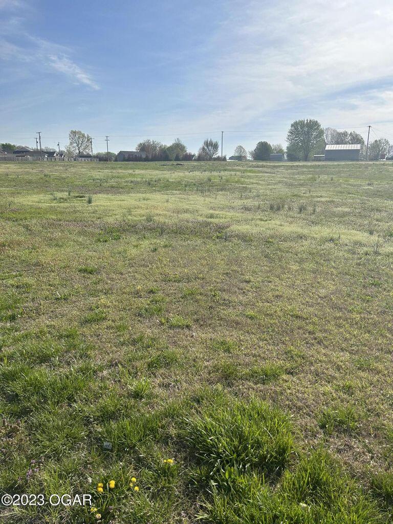 Photo 2 - Land for sale – 000  96 Hwy   Oronogo, MO