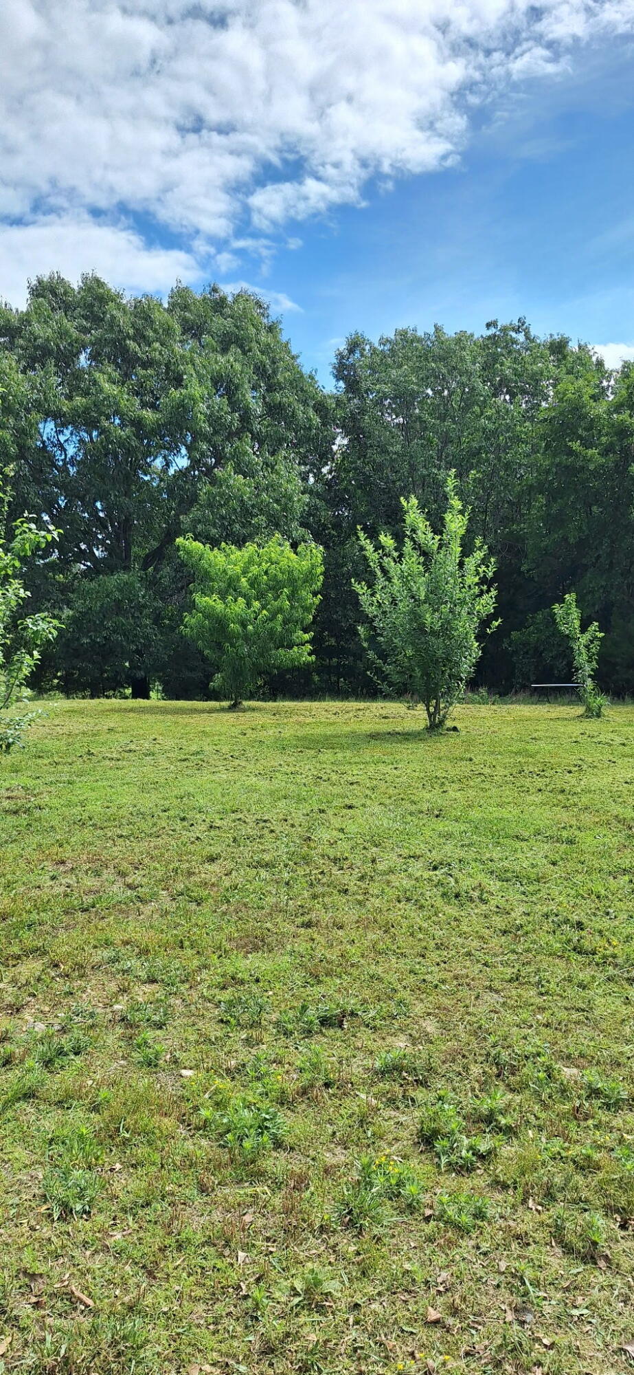 Photo 5 - Residential for sale – 27417  Us Highway 160   Tecumseh, MO