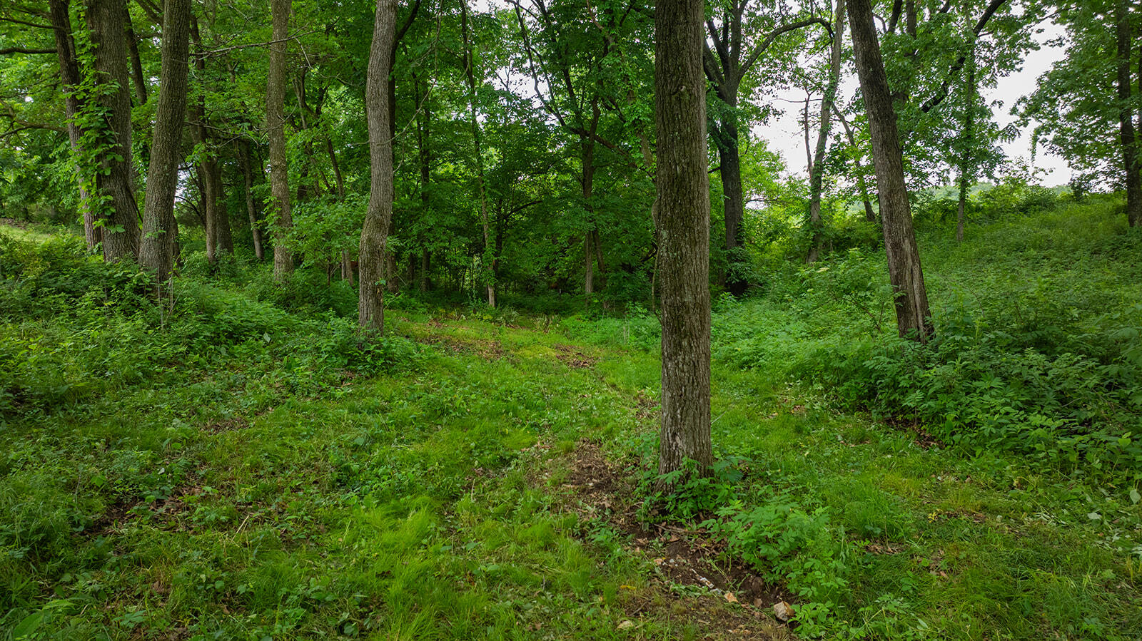 Photo 45 - Residential for sale – 1823  Finley Falls Road  Seymour, MO