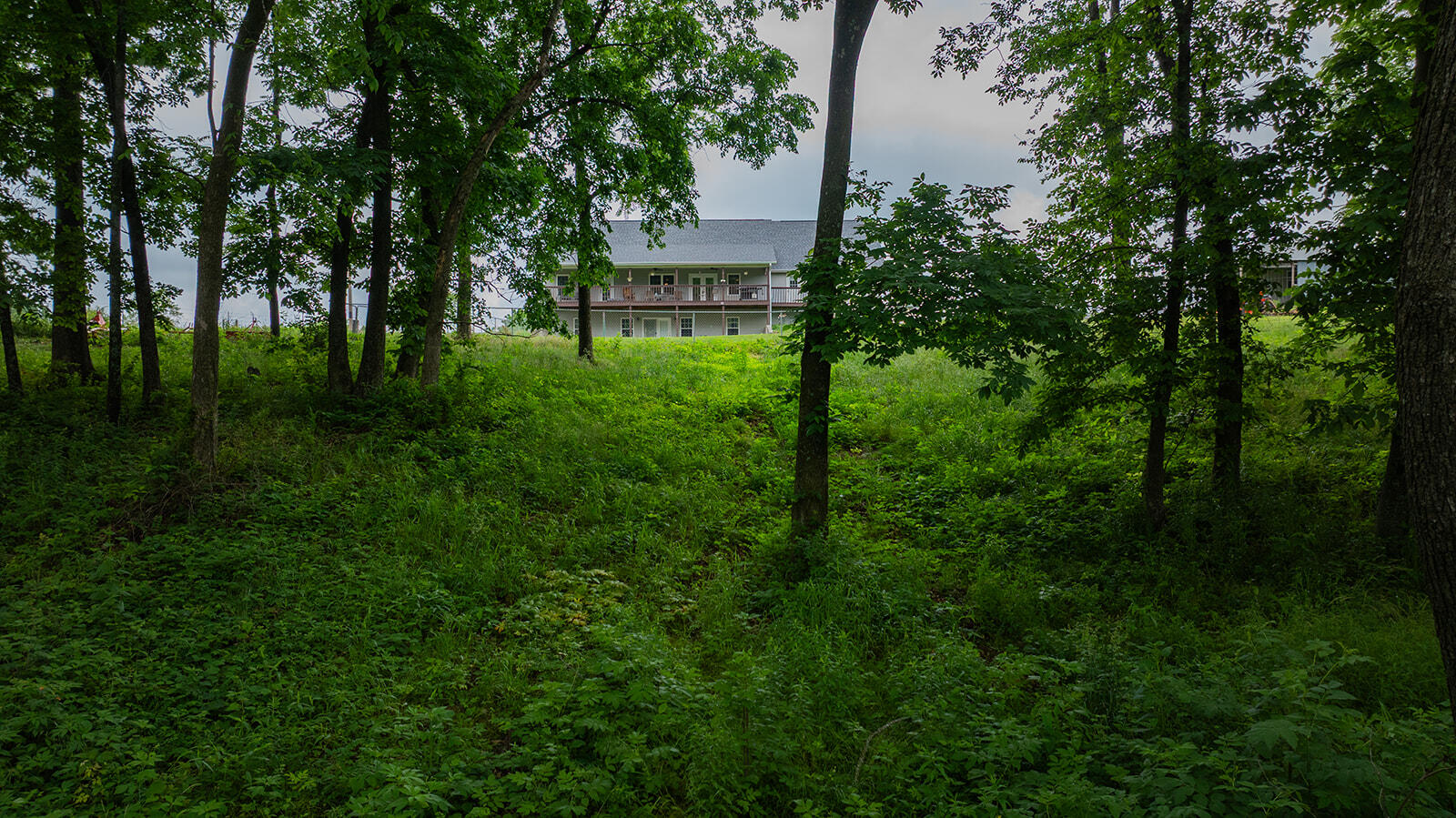 Photo 46 - Residential for sale – 1823  Finley Falls Road  Seymour, MO
