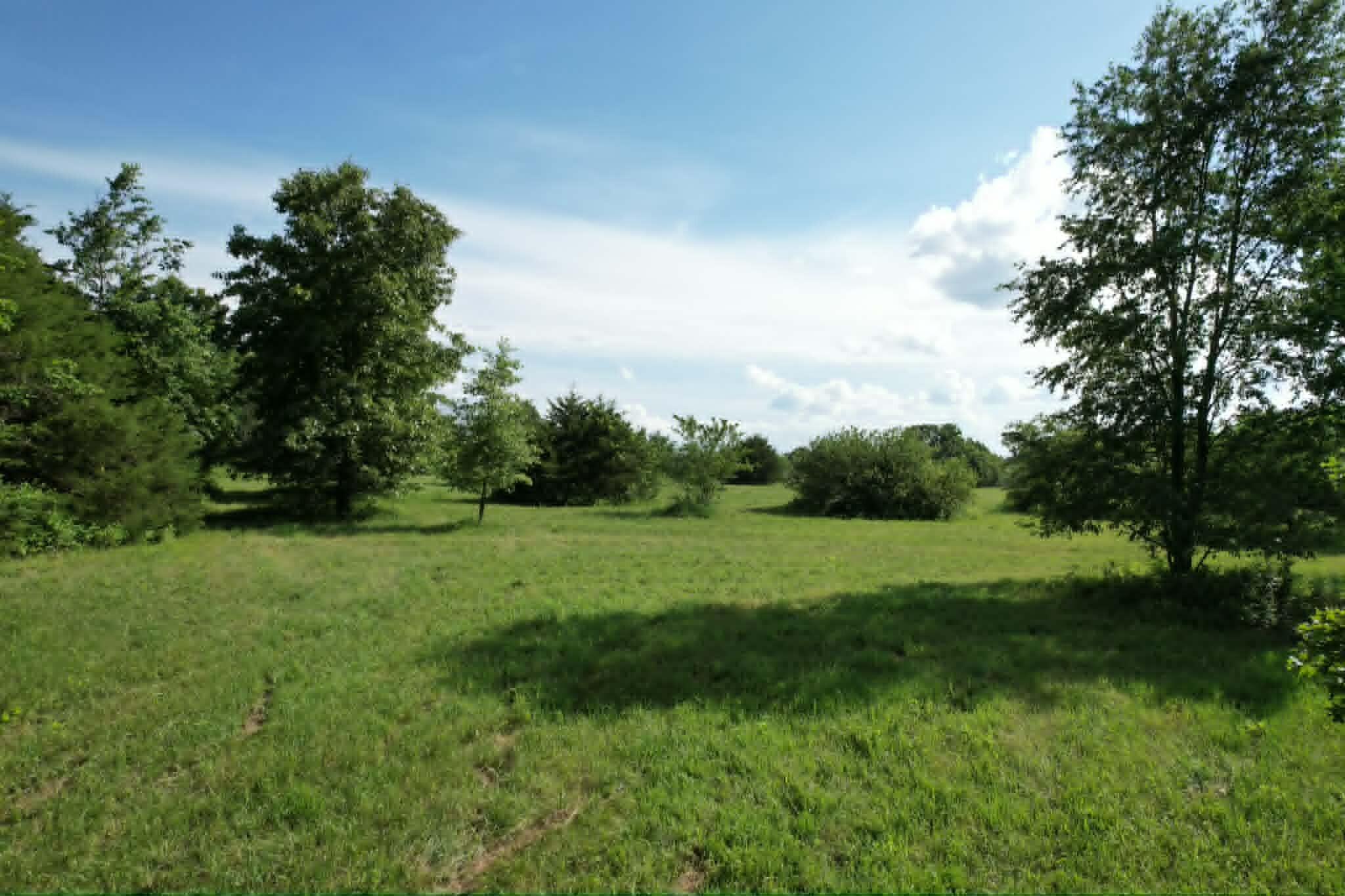 Photo 13 - Land for sale – 0000  Lawrence 1250   Billings, MO