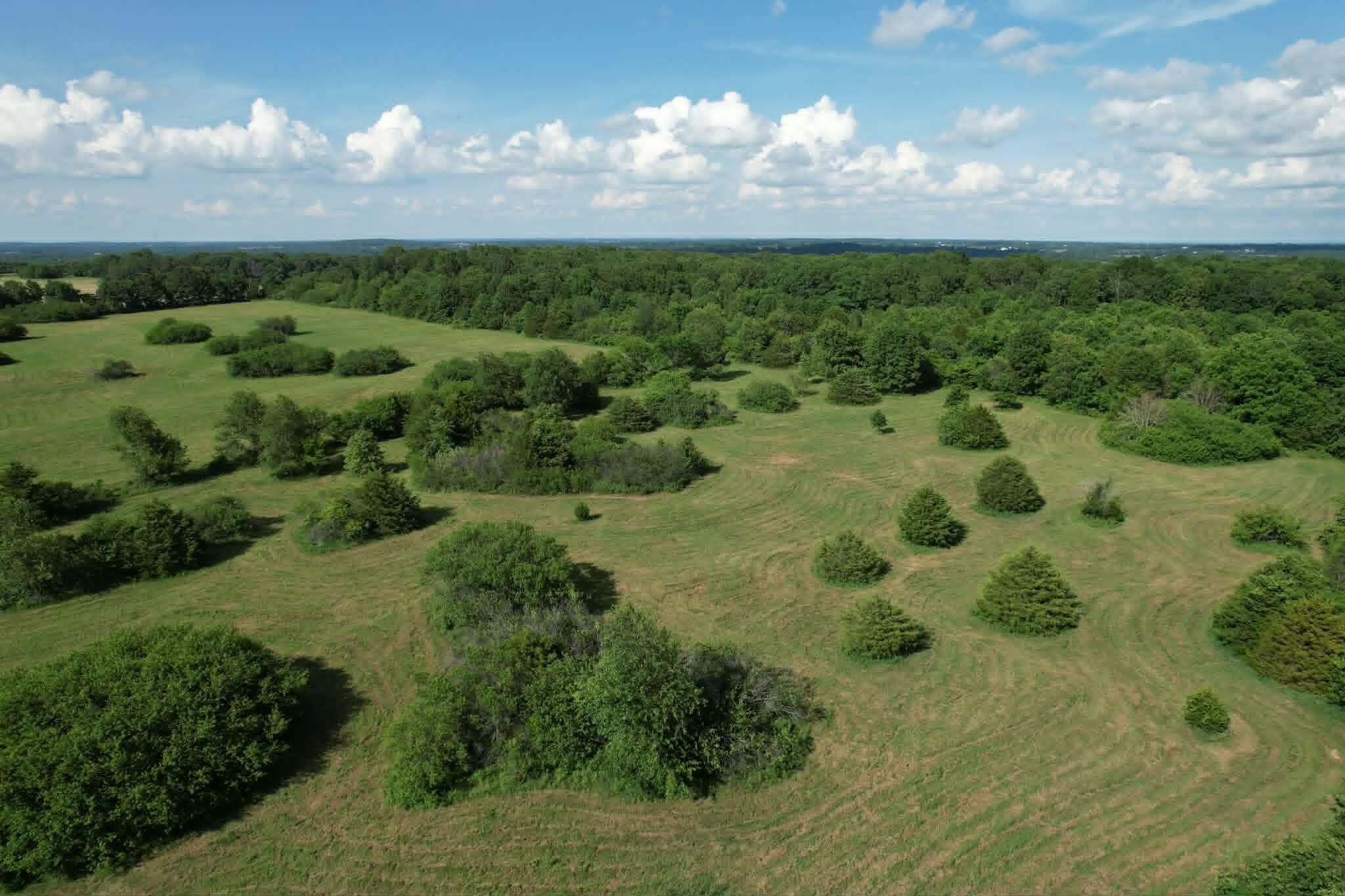Photo 11 - Land for sale – 0000  Lawrence 1250   Billings, MO