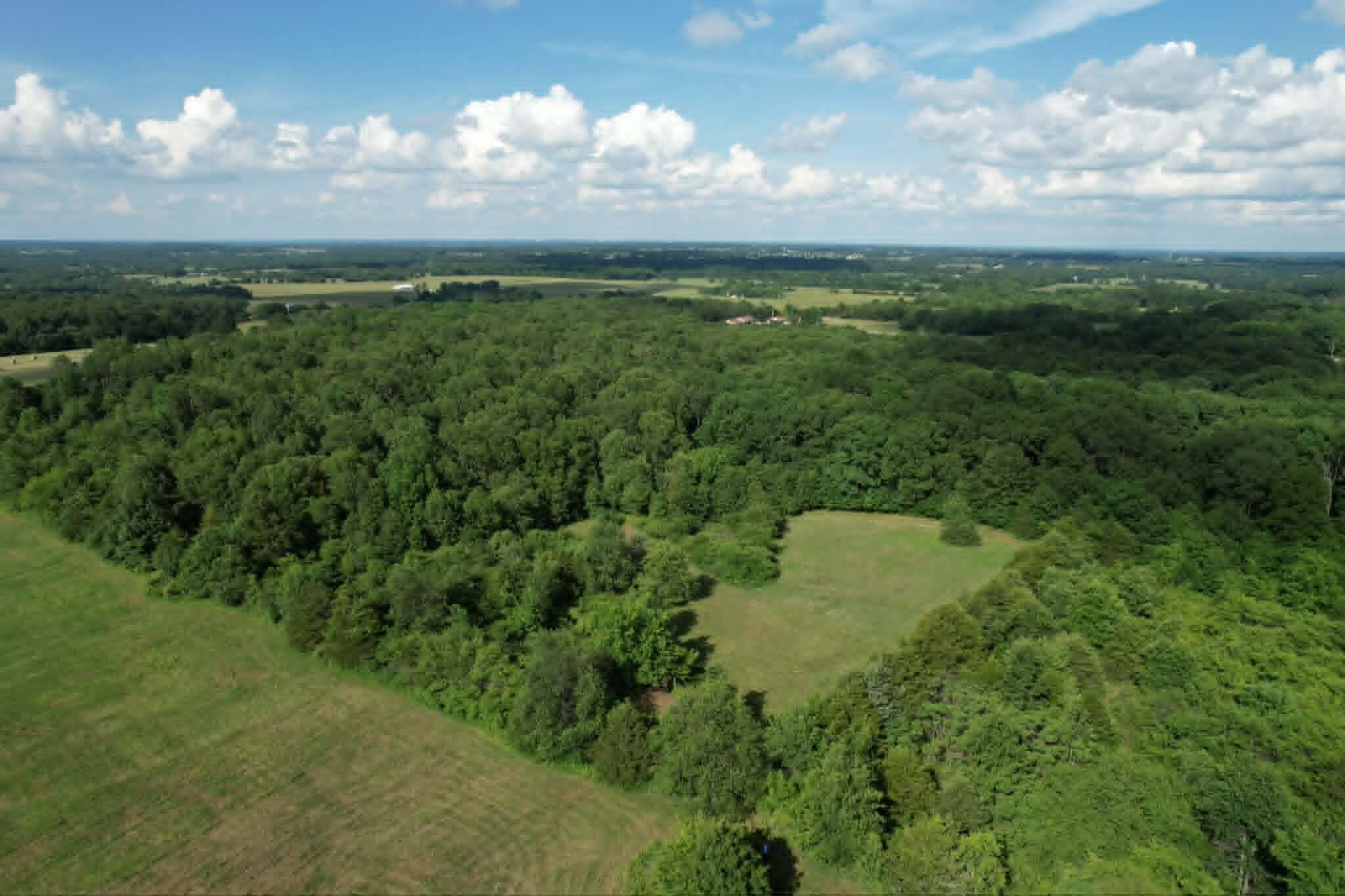 Photo 9 - Land for sale – 0000  Lawrence 1250   Billings, MO