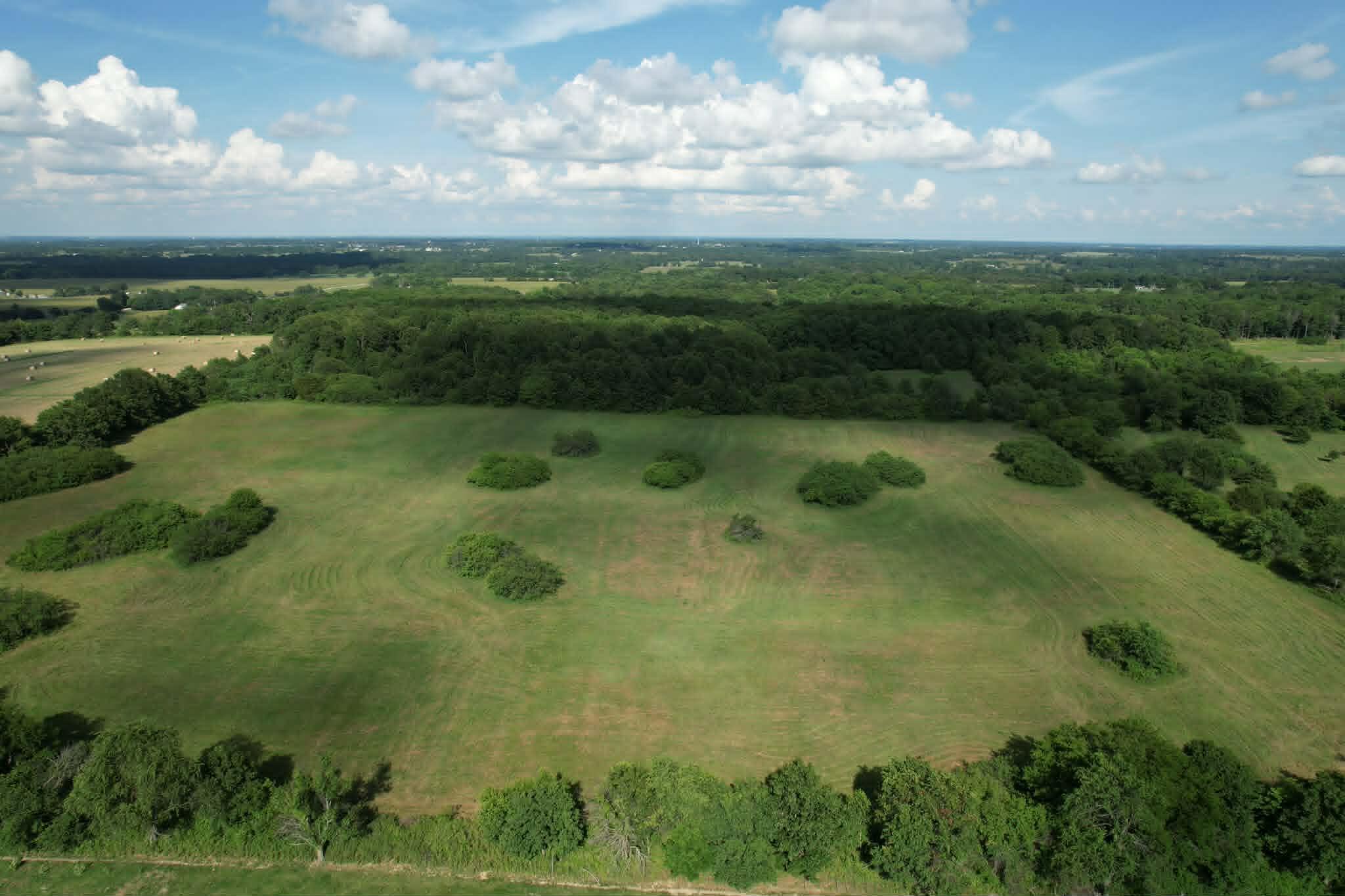Land for sale – 0000 Lawrence 1250 Billings, MO