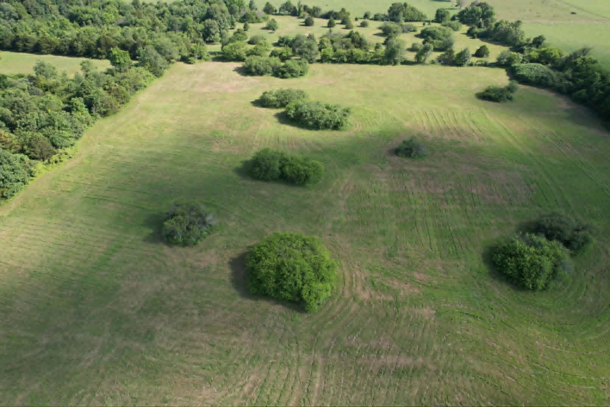 Photo 3 - Land for sale – 0000  Lawrence 1250   Billings, MO