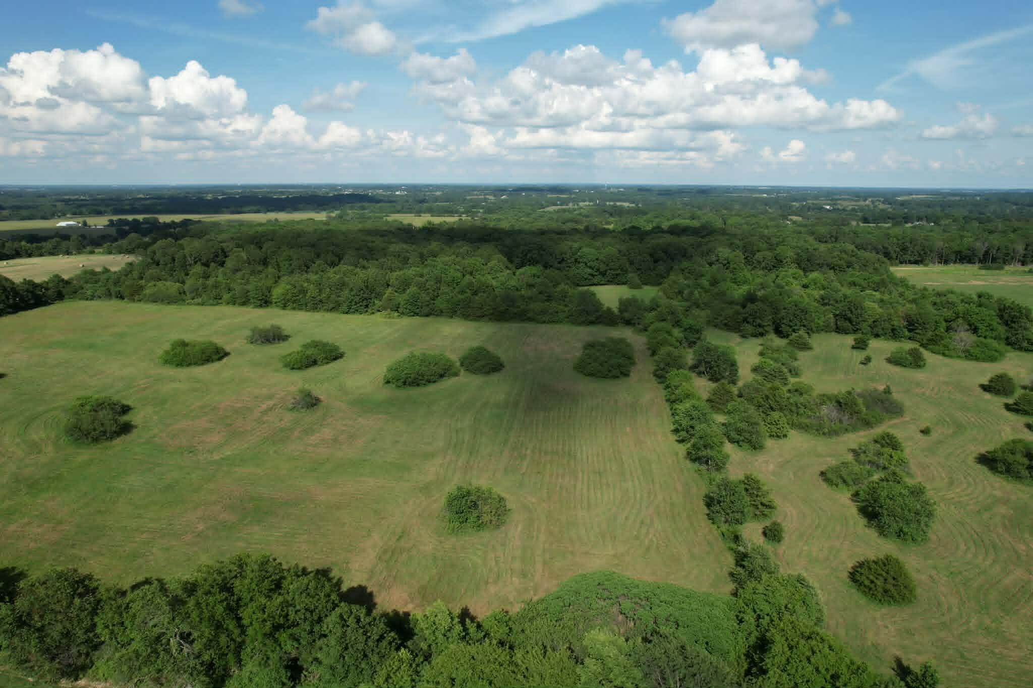 Photo 8 - Land for sale – 0000  Lawrence 1250   Billings, MO