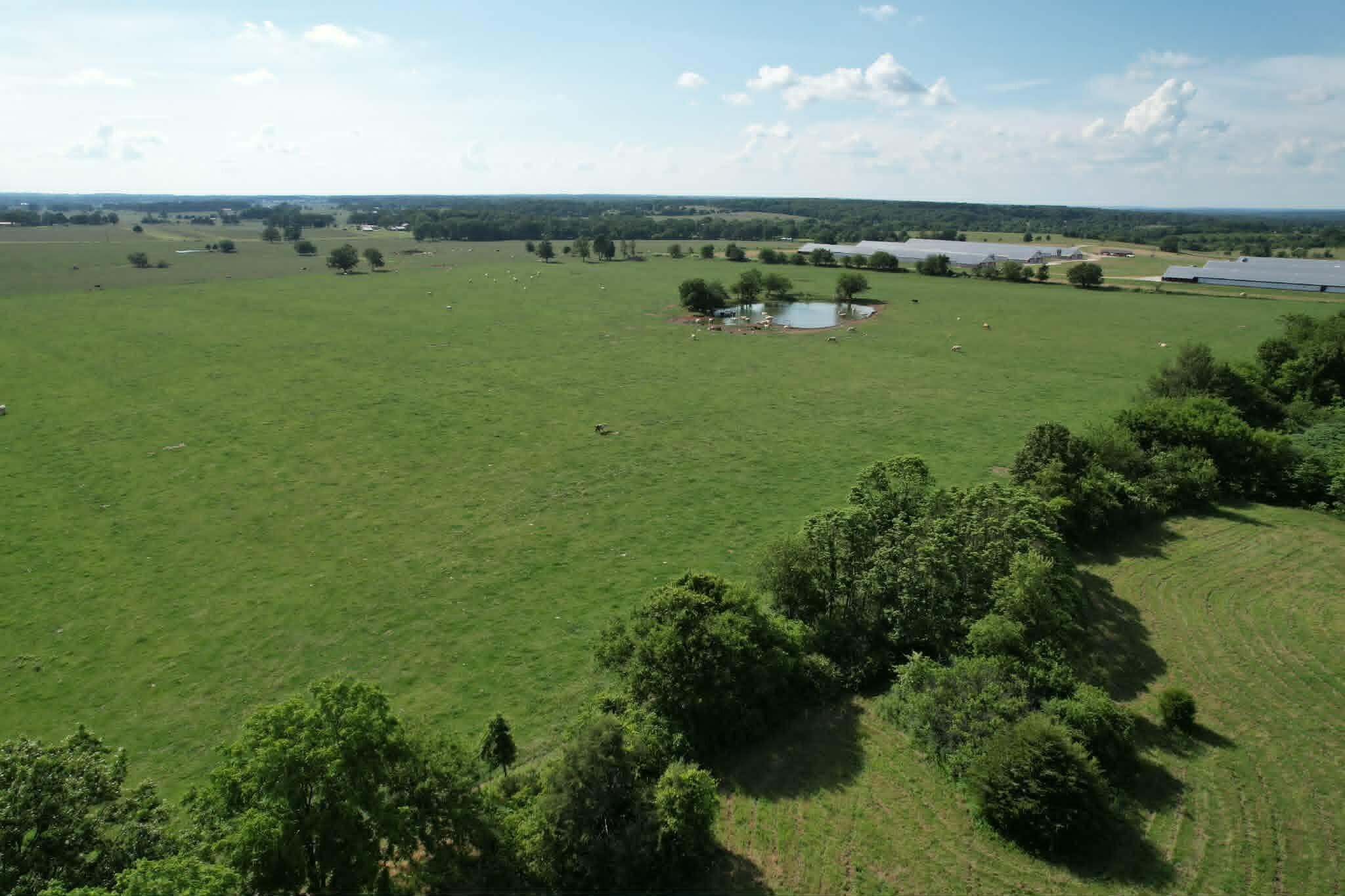 Photo 5 - Land for sale – 0000  Lawrence 1250   Billings, MO