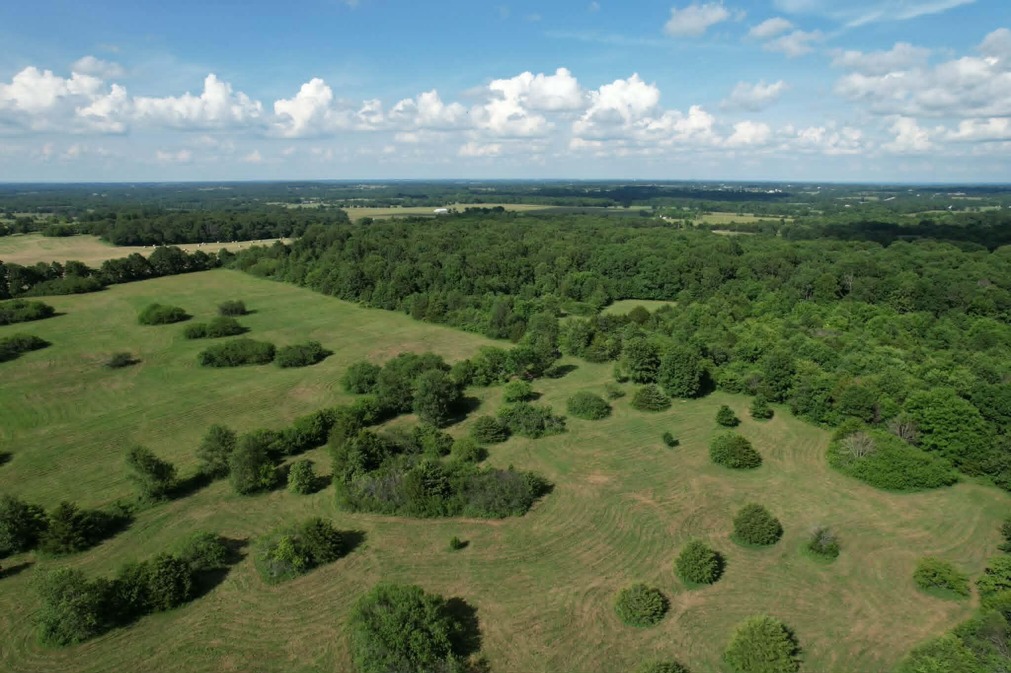 Photo 10 - Land for sale – 0000  Lawrence 1250   Billings, MO