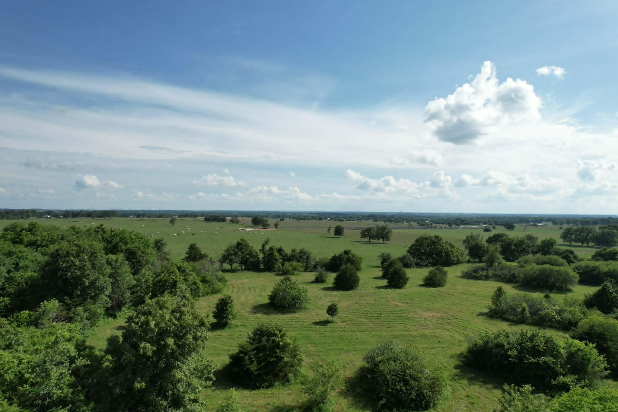 Photo 6 - Land for sale – 0000  Lawrence 1250   Billings, MO