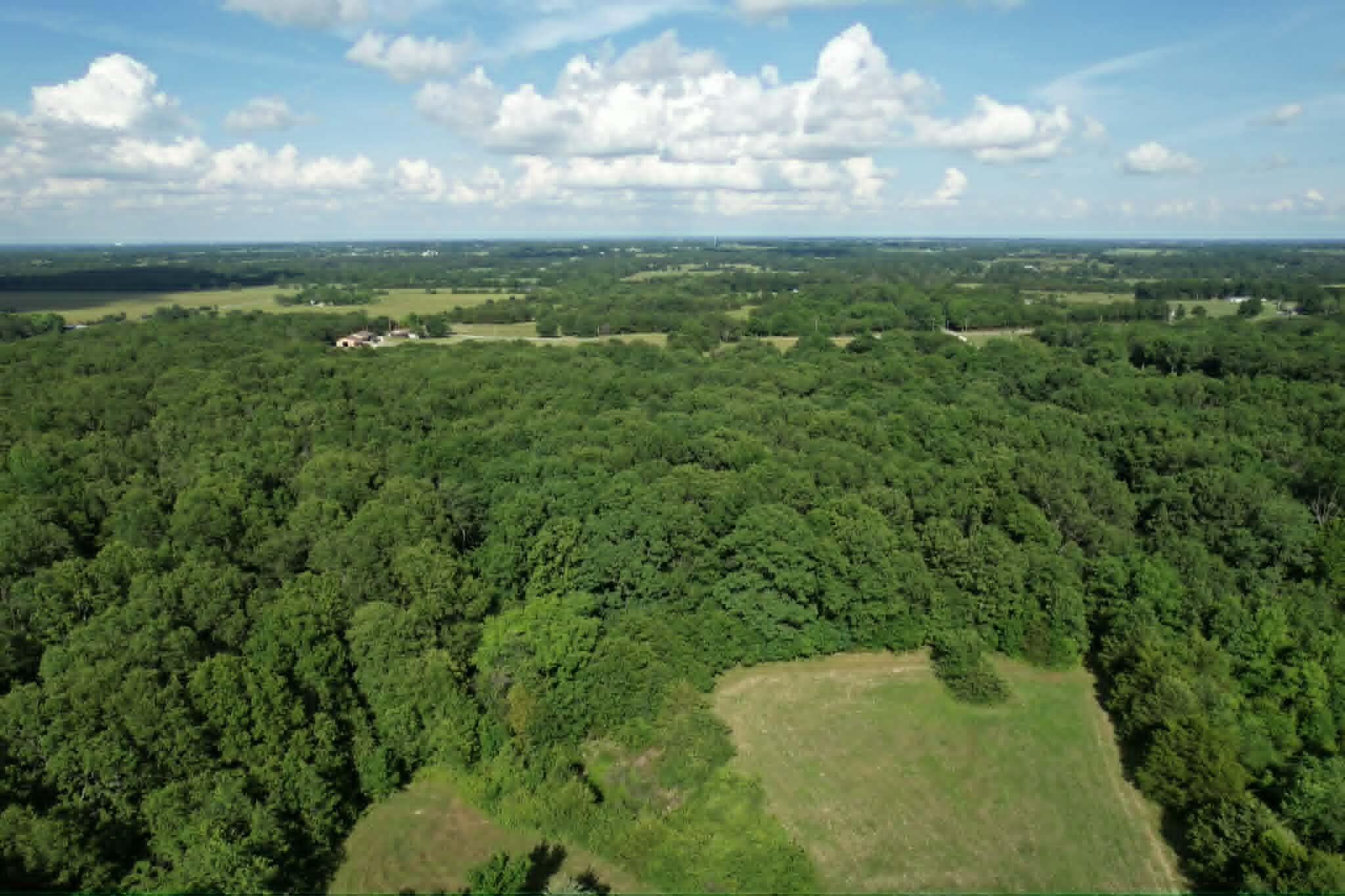 Photo 4 - Land for sale – 0000  Lawrence 1250   Billings, MO