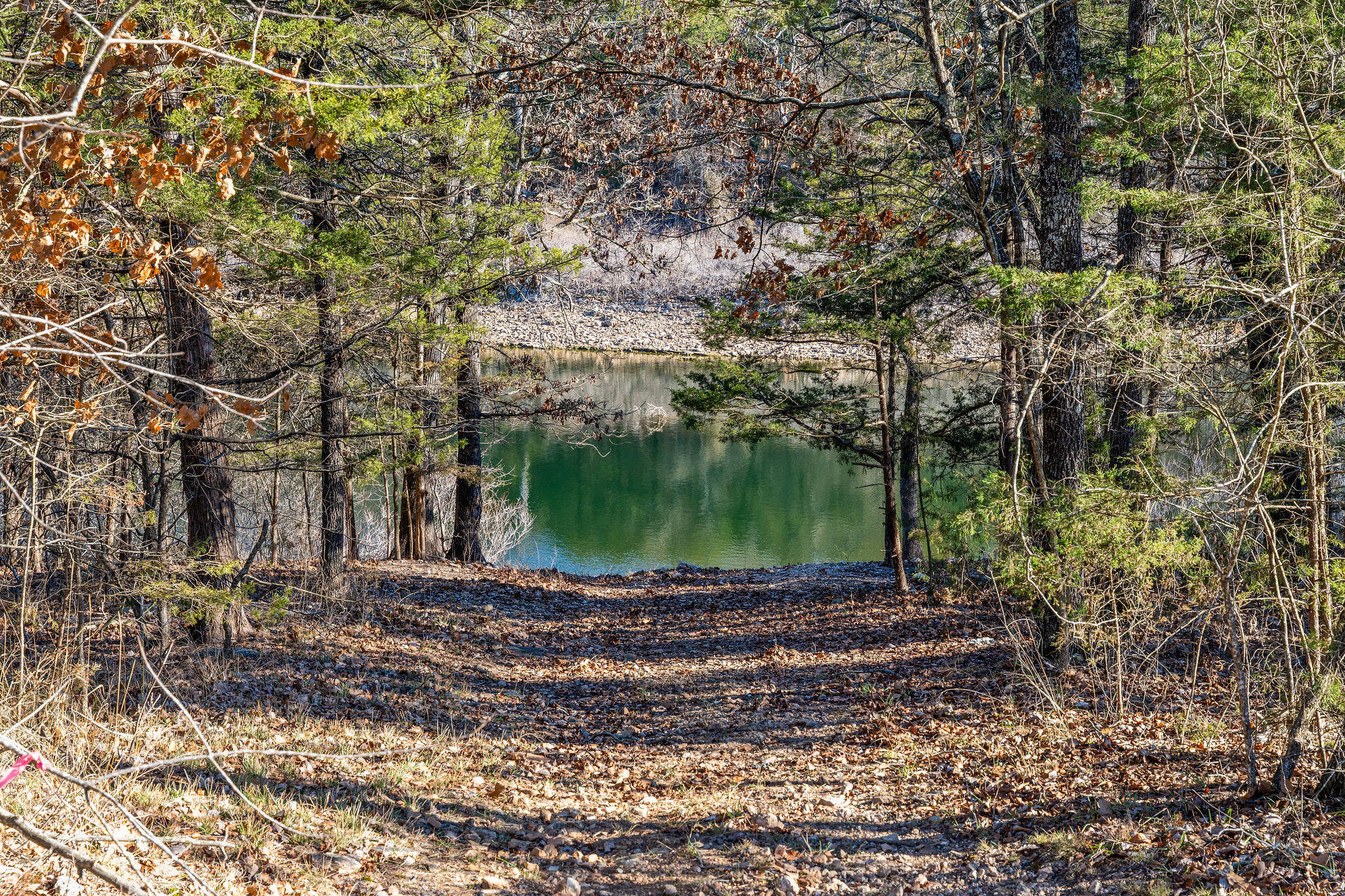 Land for sale – 2416  Bread Tray Mountain Road  Lampe, MO
