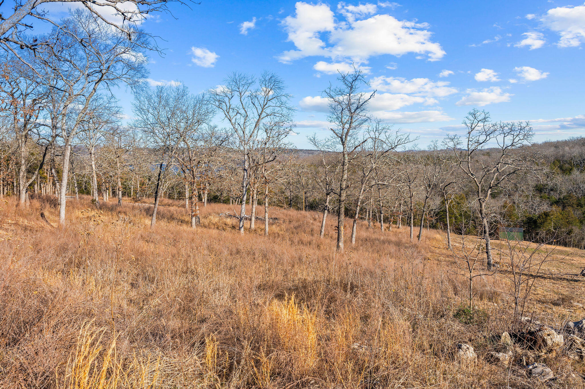 Photo 11 - Land for sale – 2416  Bread Tray Mountain Road  Lampe, MO