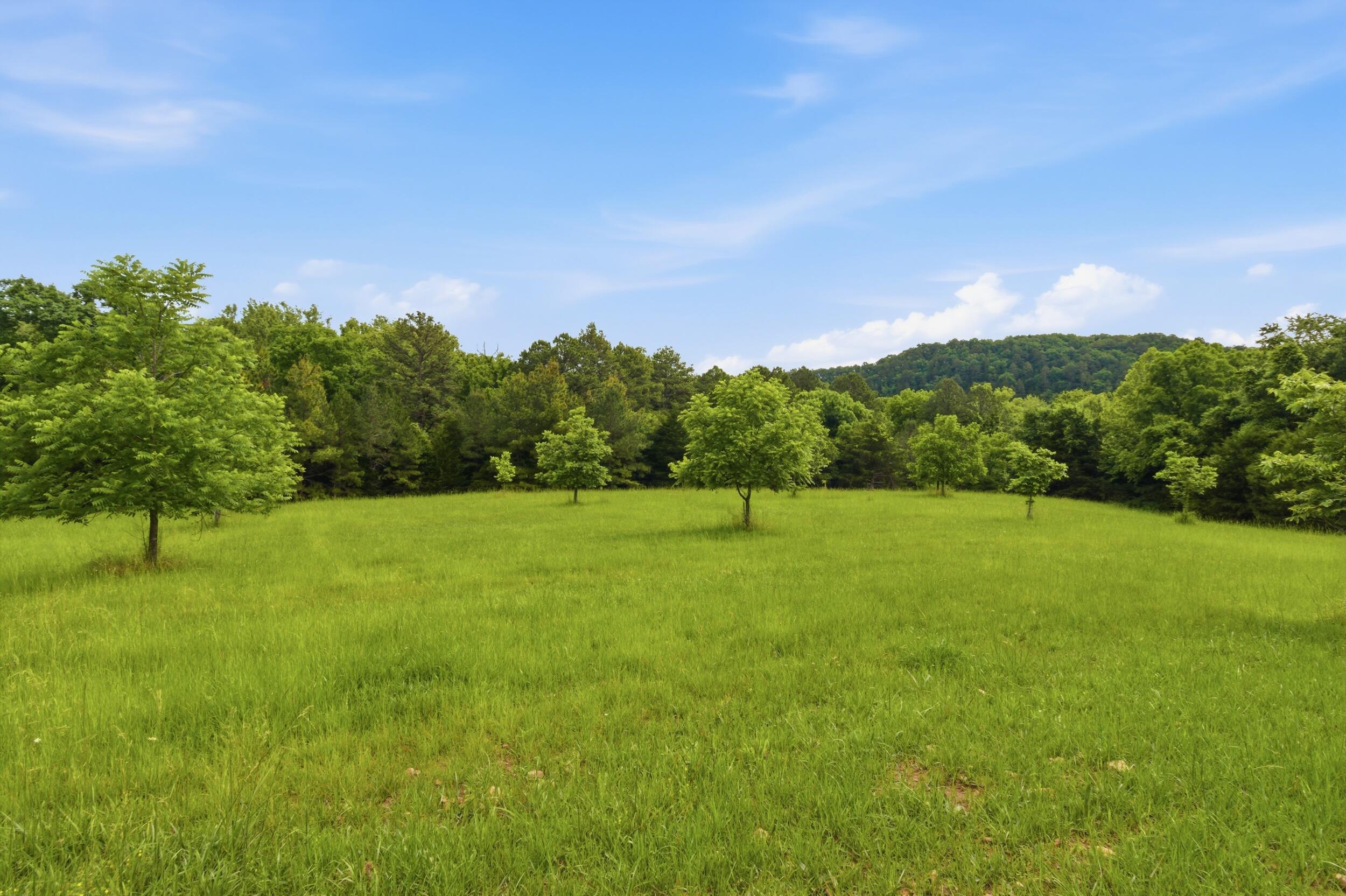Photo 36 - Farm for sale – 9723  Highway E   Houston, MO