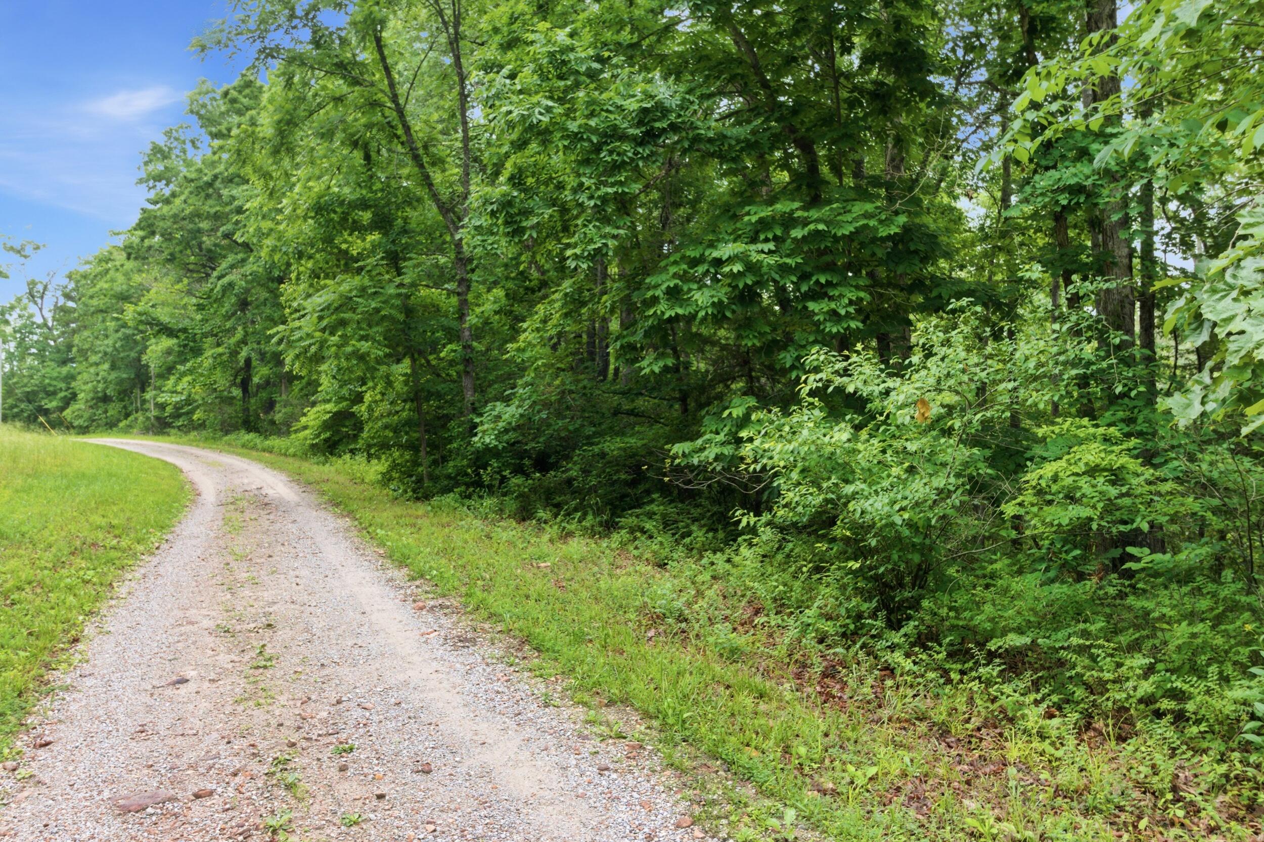 Photo 54 - Farm for sale – 9723  Highway E   Houston, MO