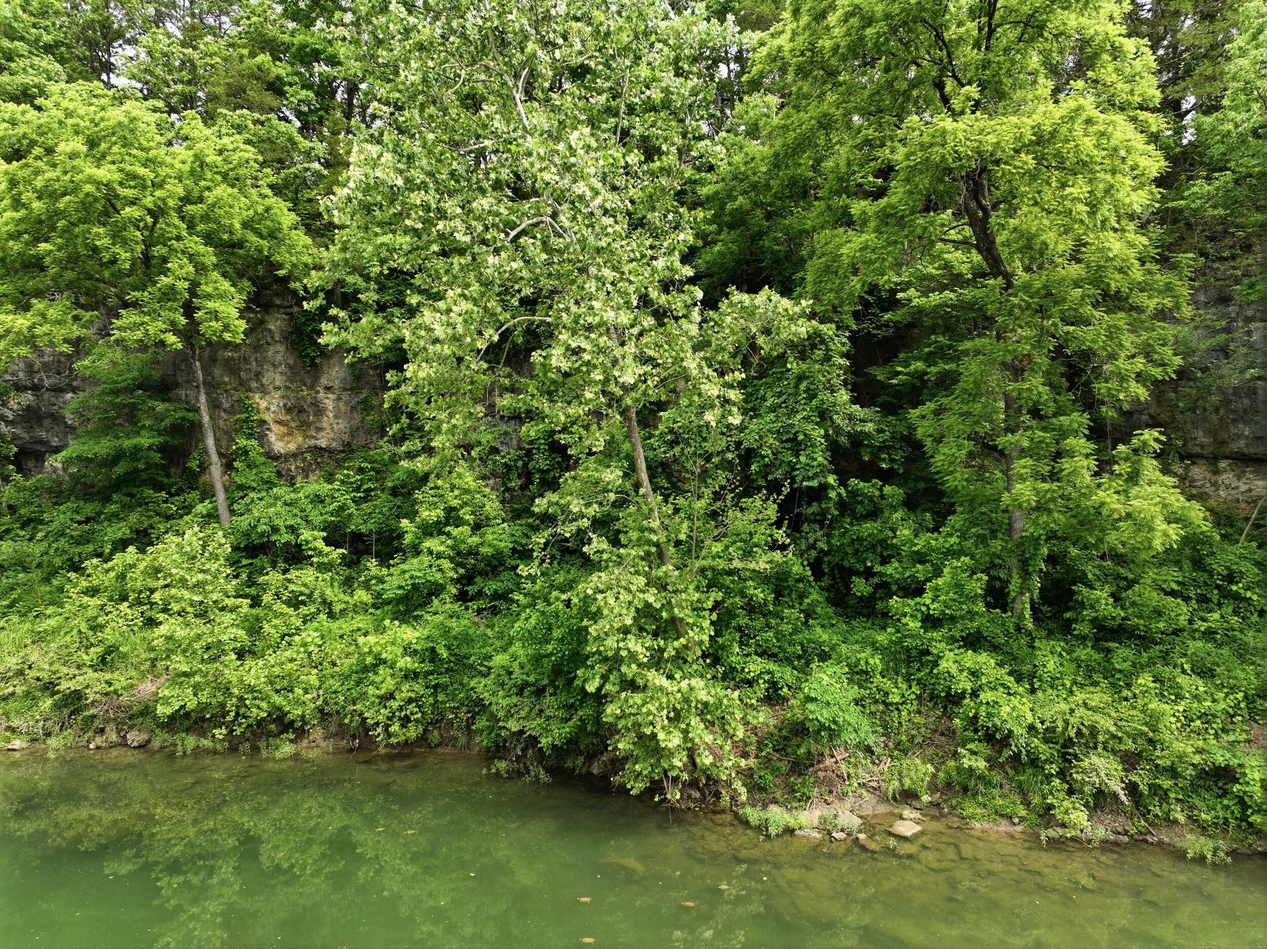 Photo 61 - Farm for sale – 9723  Highway E   Houston, MO