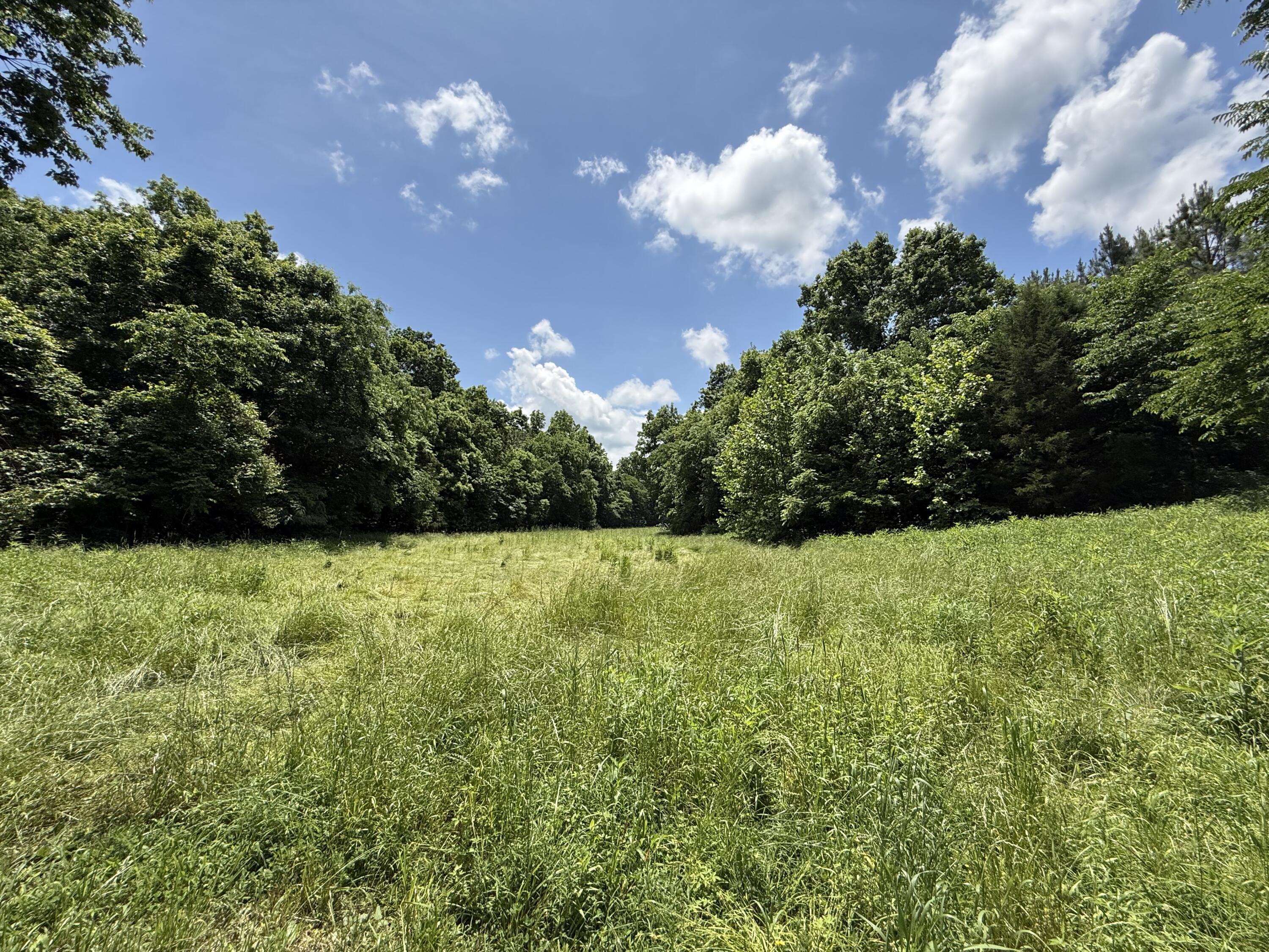 Photo 77 - Farm for sale – 9723  Highway E   Houston, MO