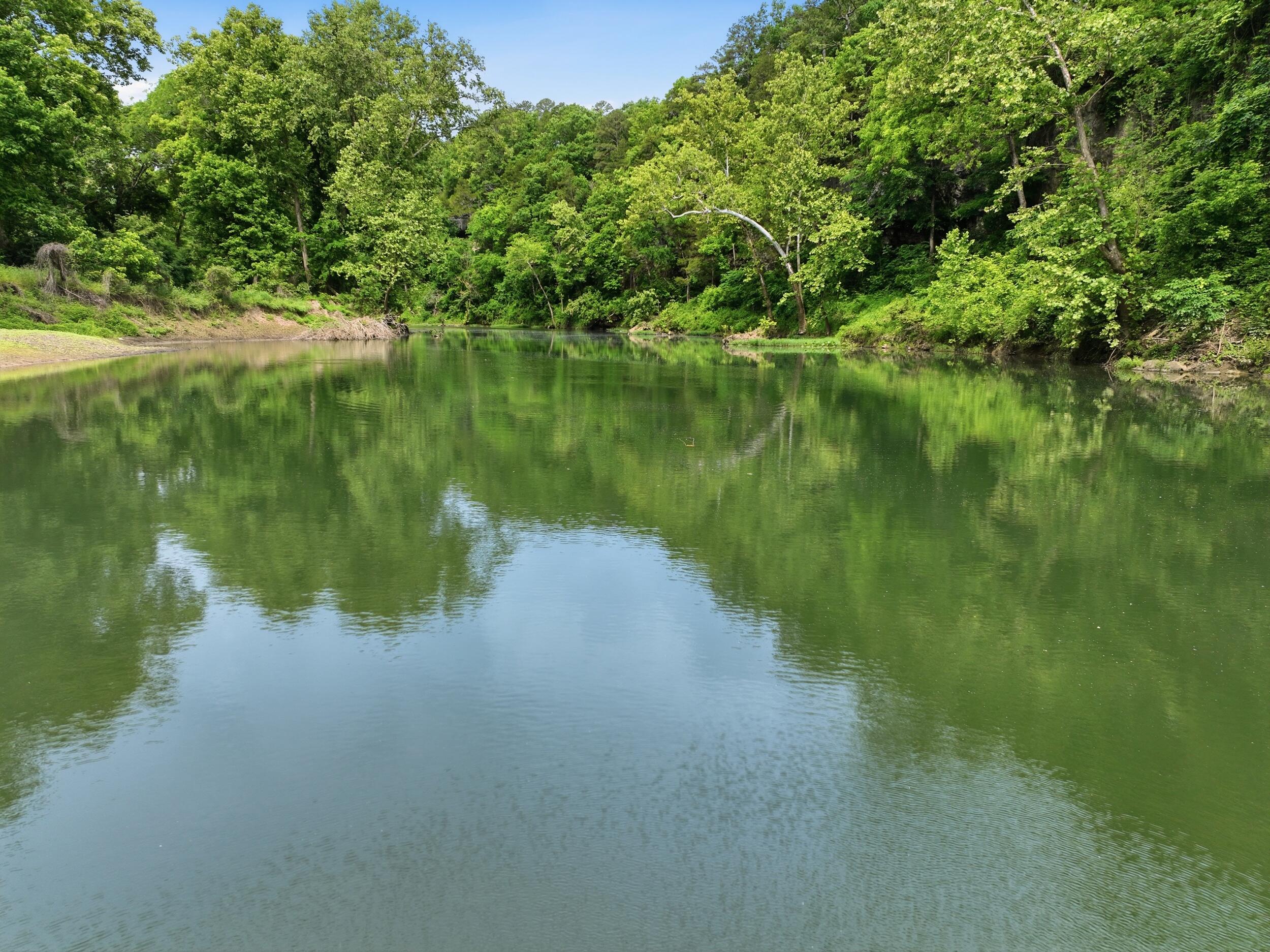 Photo 55 - Farm for sale – 9723  Highway E   Houston, MO