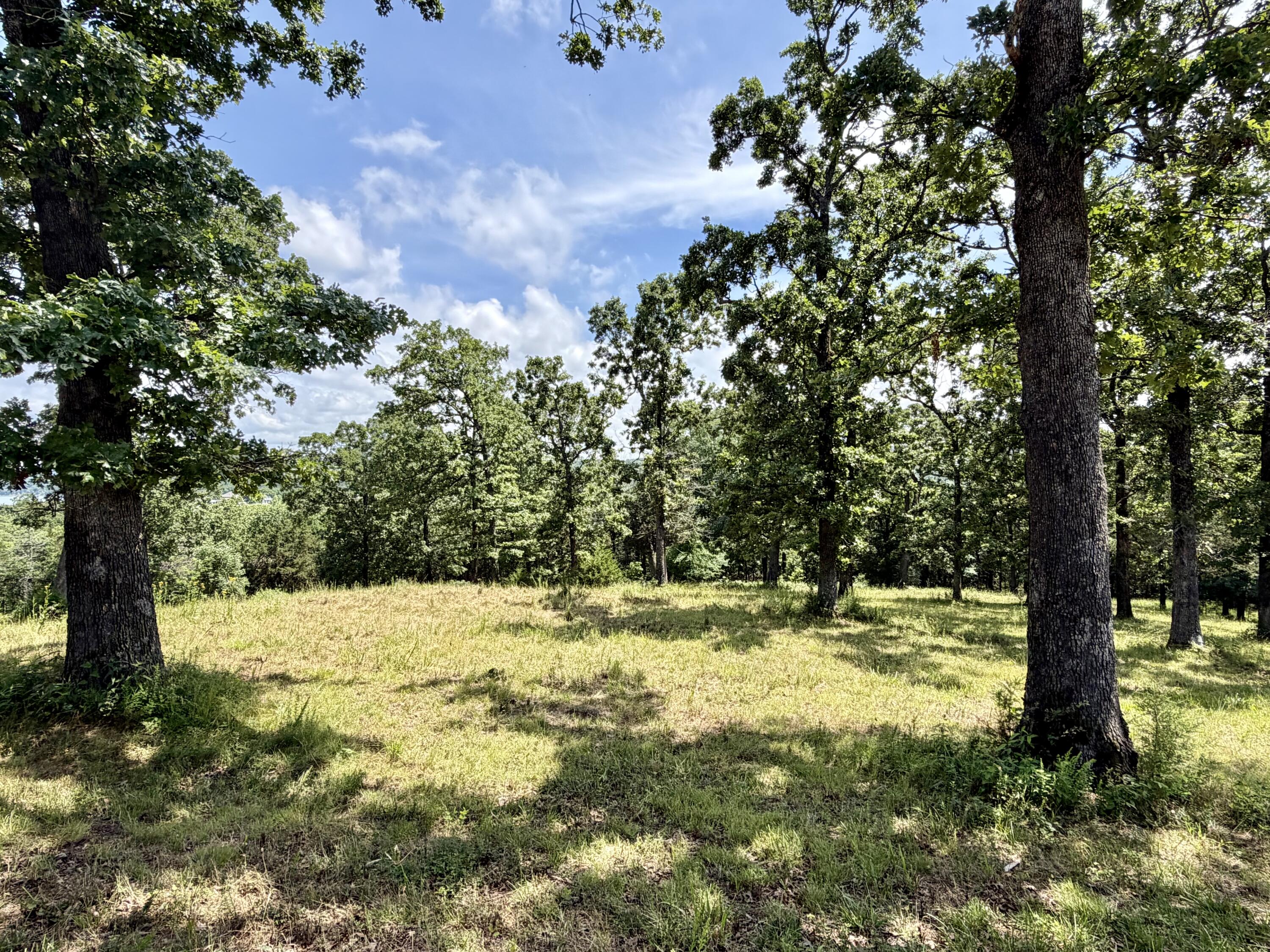 Photo 10 - Land for sale – Cedar  Falls Lots 1,2,3   Shell Knob, MO