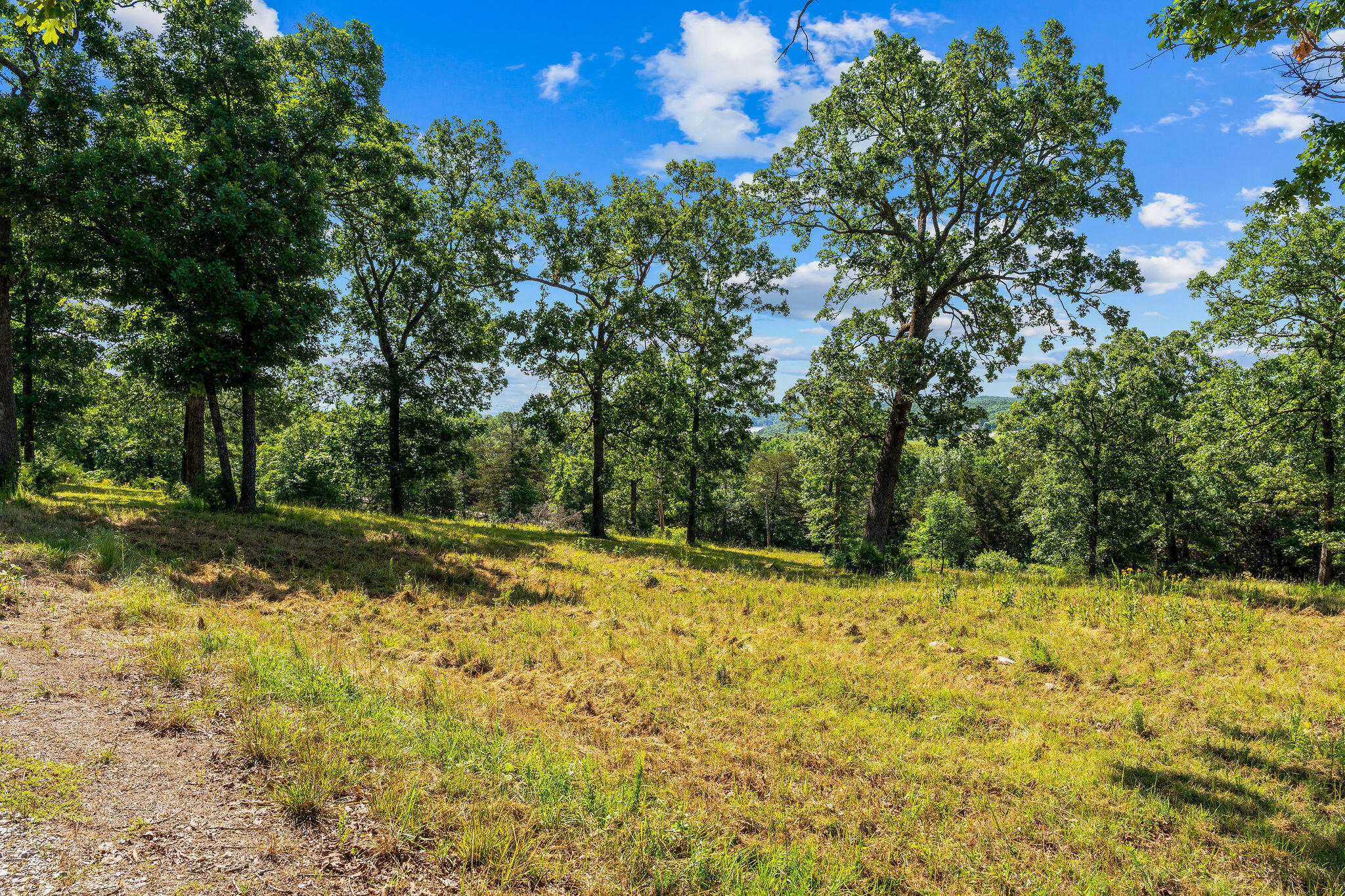 Photo 8 - Land for sale – Cedar  Falls Lots 1,2,3   Shell Knob, MO