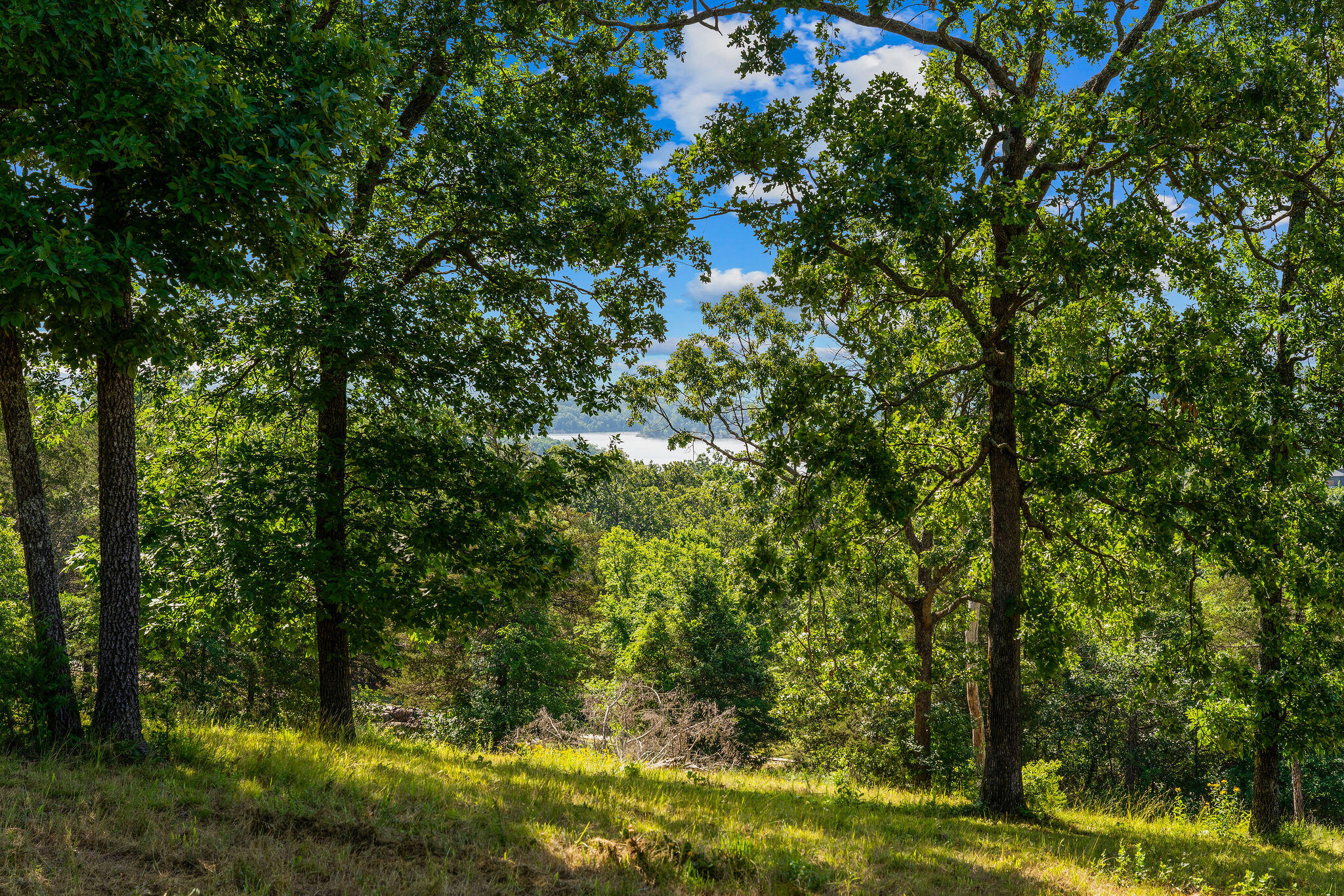 Photo 9 - Land for sale – Cedar  Falls Lots 1,2,3   Shell Knob, MO