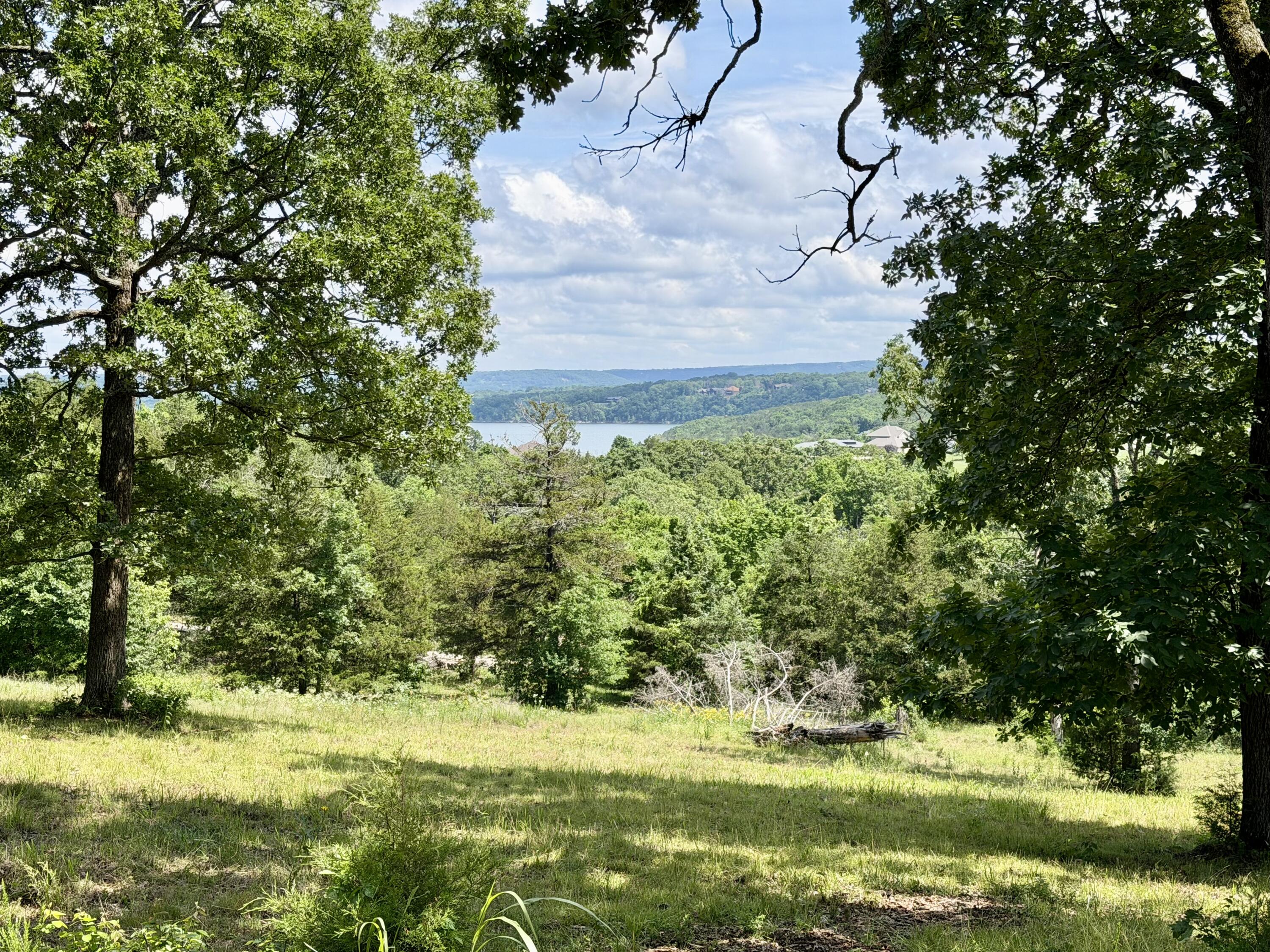 Photo 11 - Land for sale – Cedar  Falls Lots 1,2,3   Shell Knob, MO