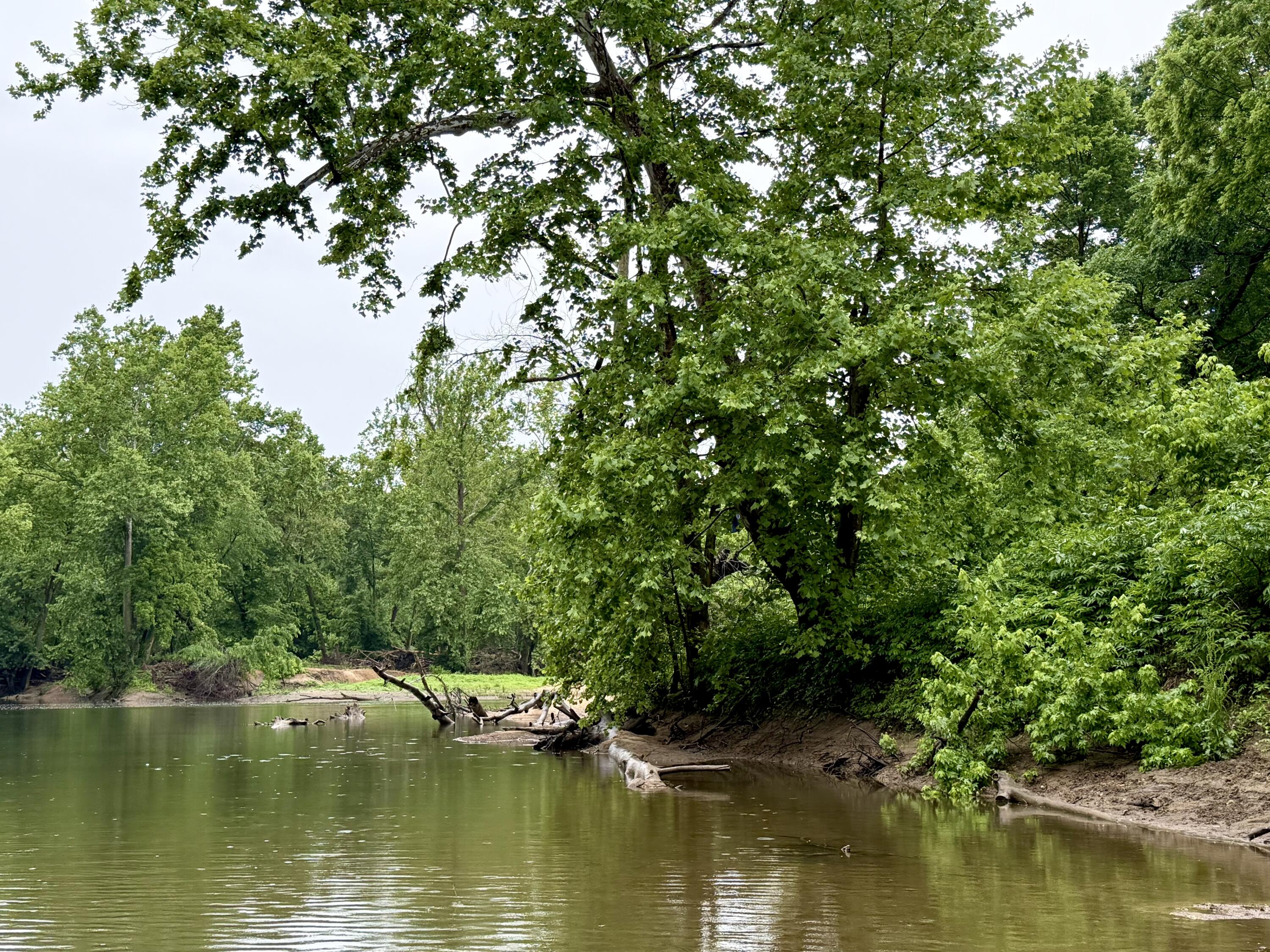 Land for sale – 000  Sand Shoals Road  Houston, MO