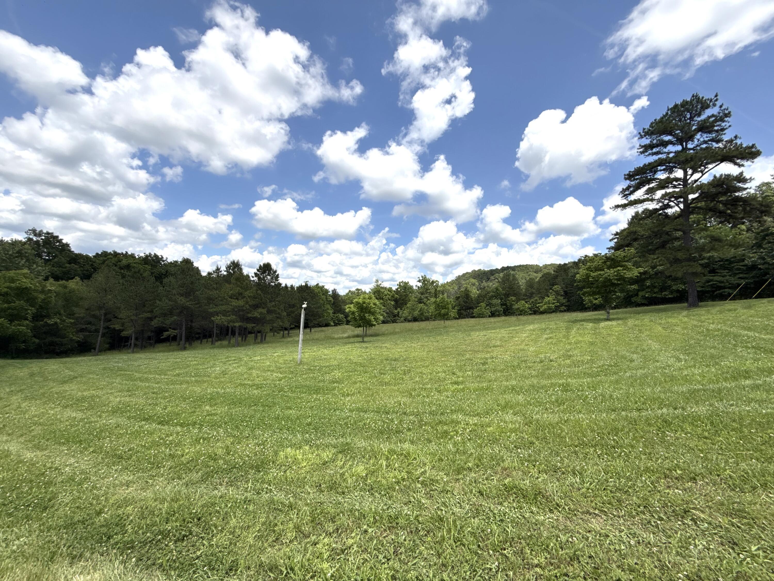 Photo 75 - Farm for sale – 9723  Highway E   Houston, MO