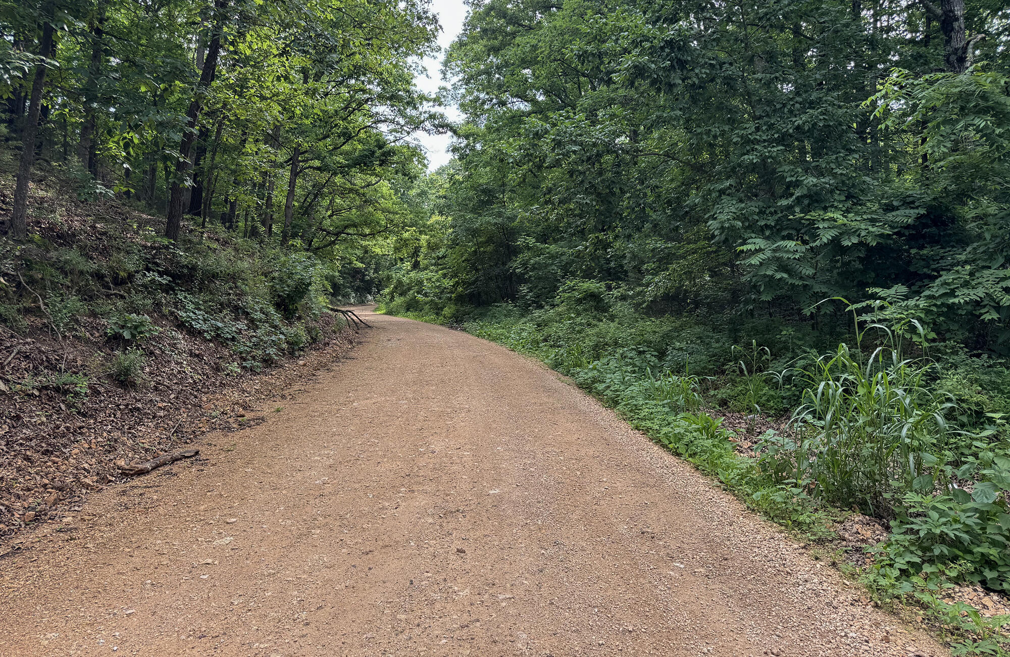 Photo 3 - Land for sale – 000  Farm Road 2230   Washburn, MO