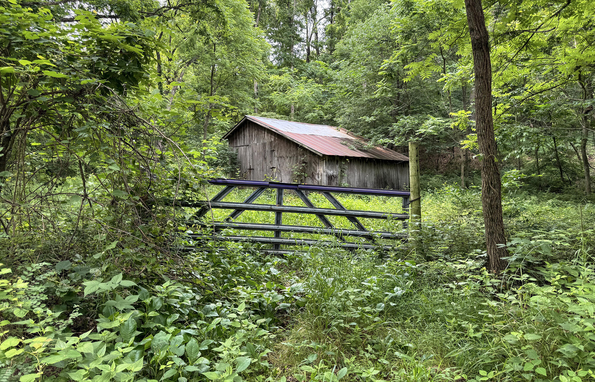 Land for sale – 000  Farm Road 2230   Washburn, MO
