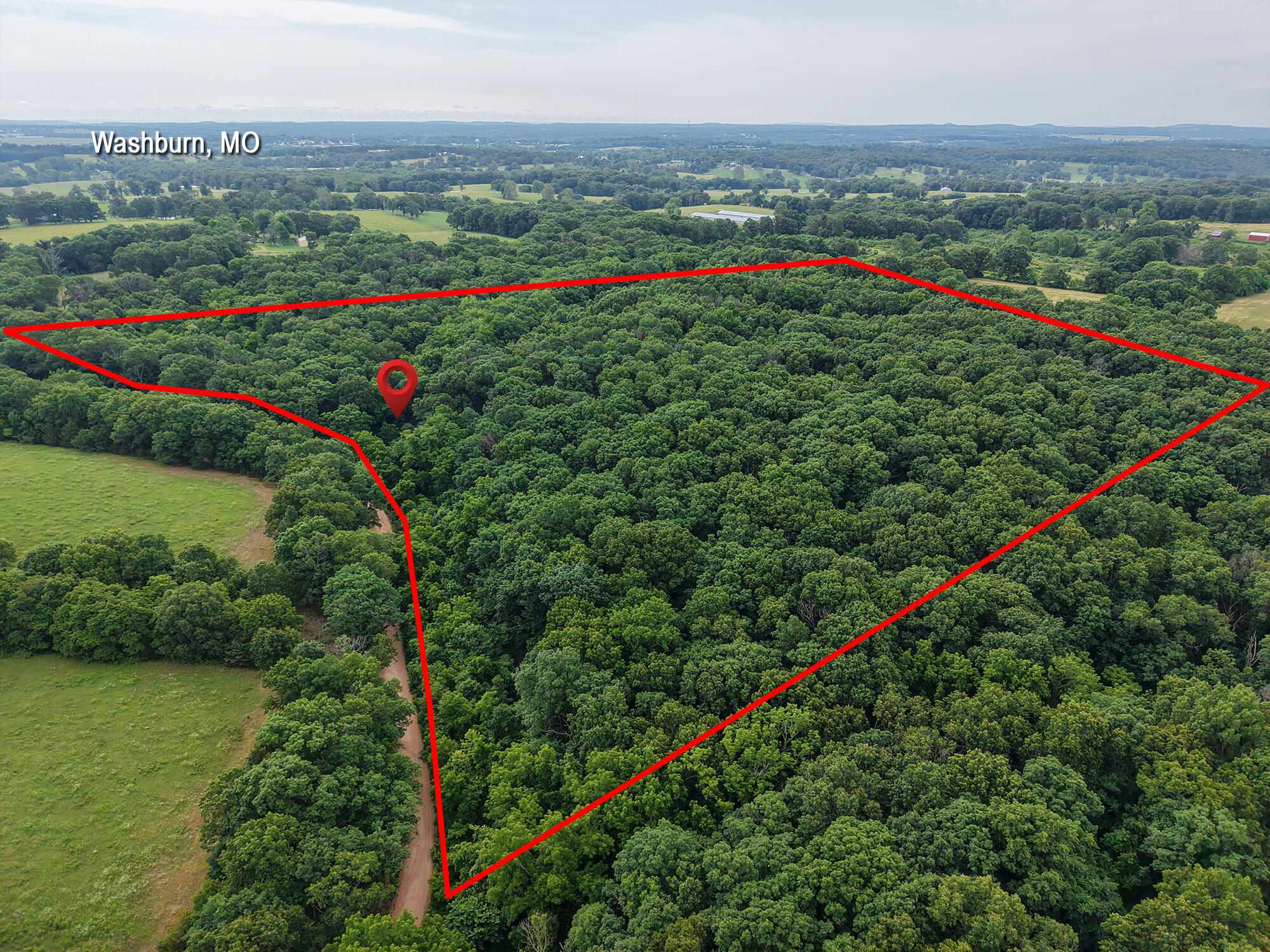 Photo 9 - Land for sale – 000  Farm Road 2230   Washburn, MO
