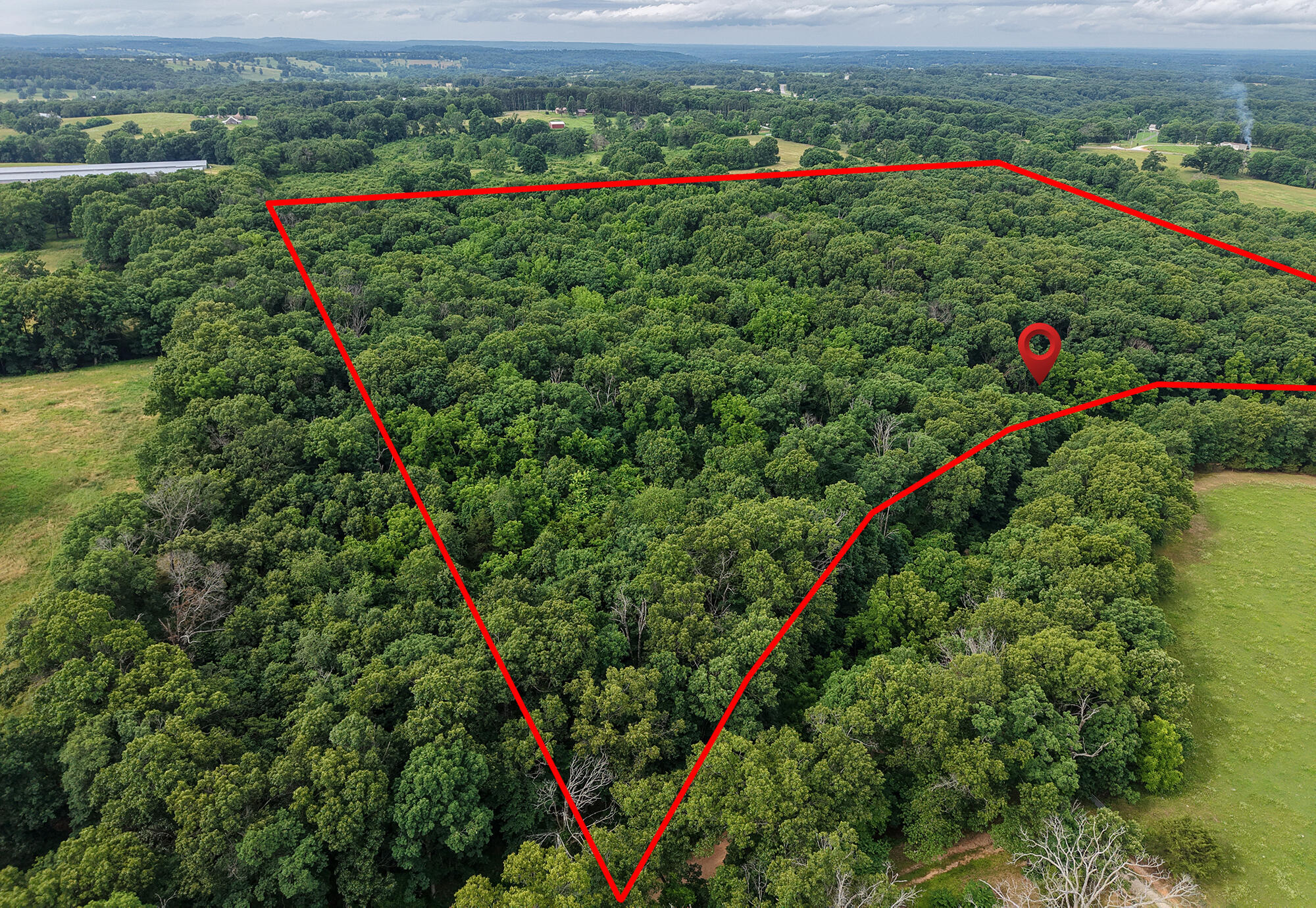 Photo 5 - Land for sale – 000  Farm Road 2230   Washburn, MO