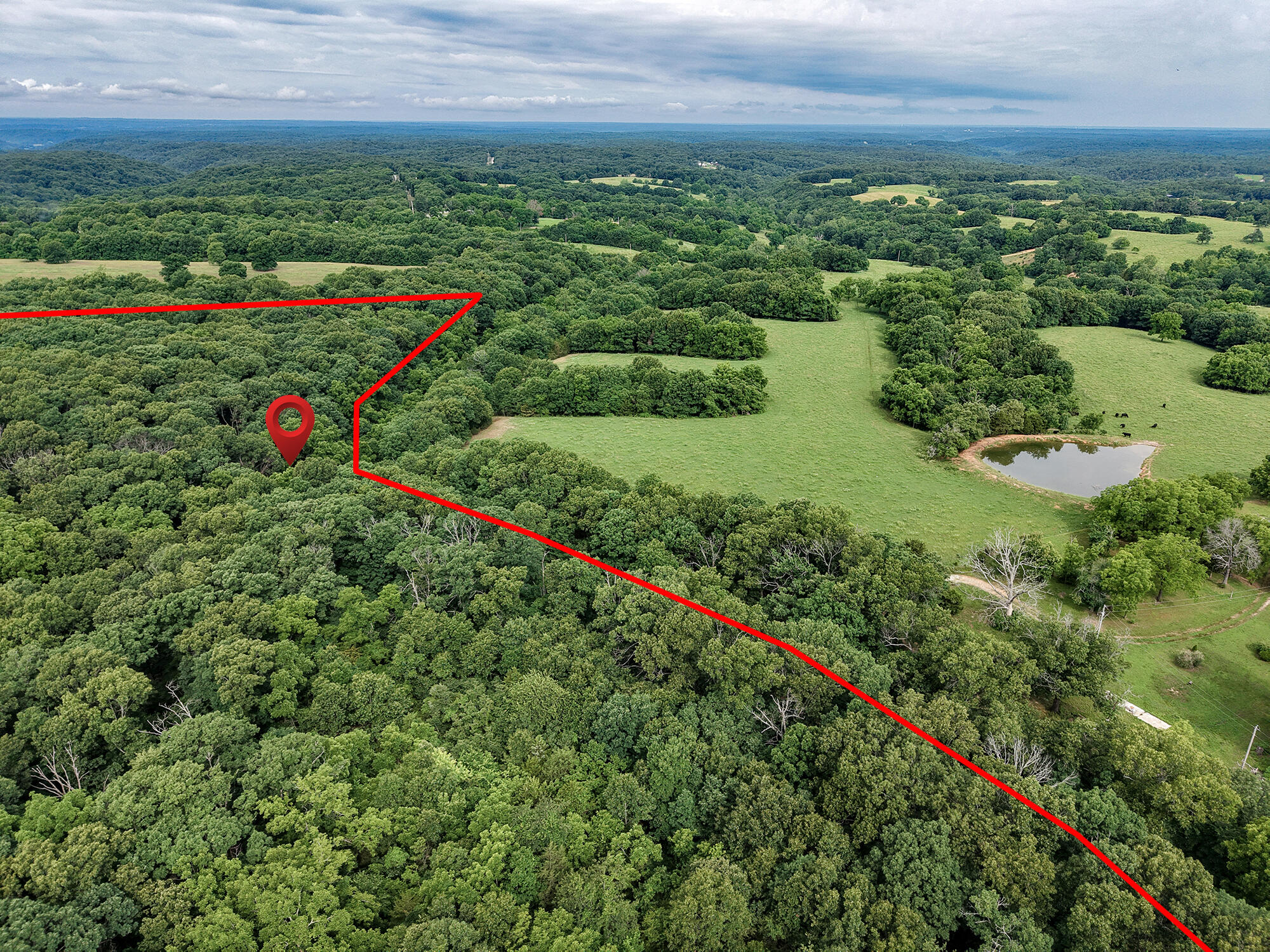 Photo 6 - Land for sale – 000  Farm Road 2230   Washburn, MO
